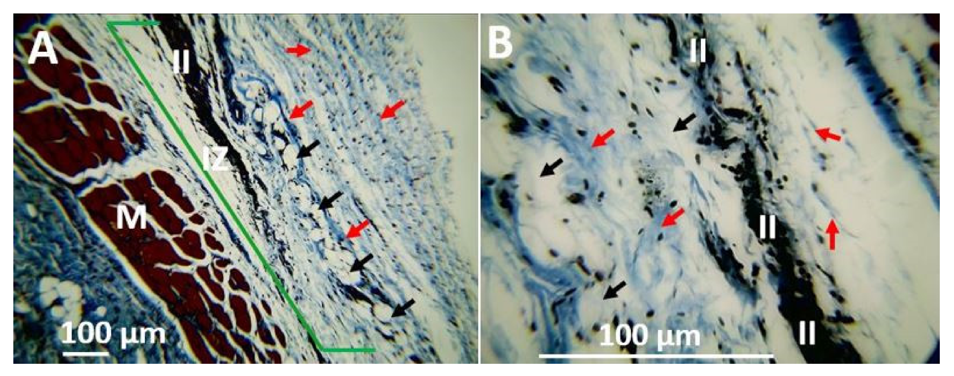 Polymers 13 03753 g015