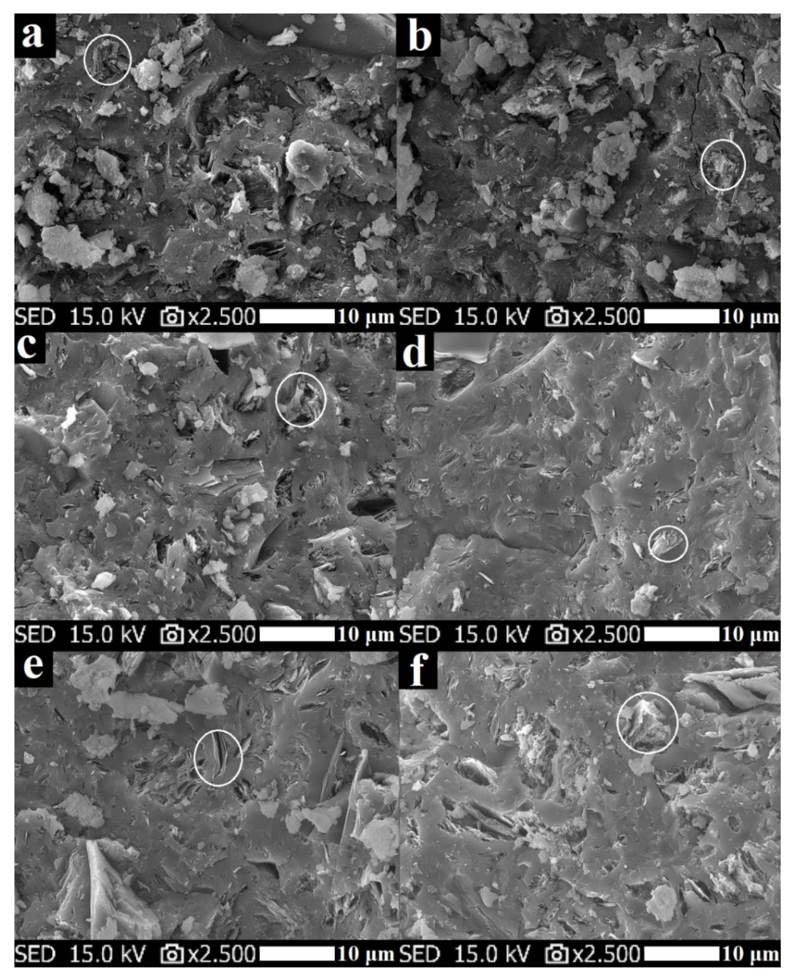 Polymers 13 03754 g011