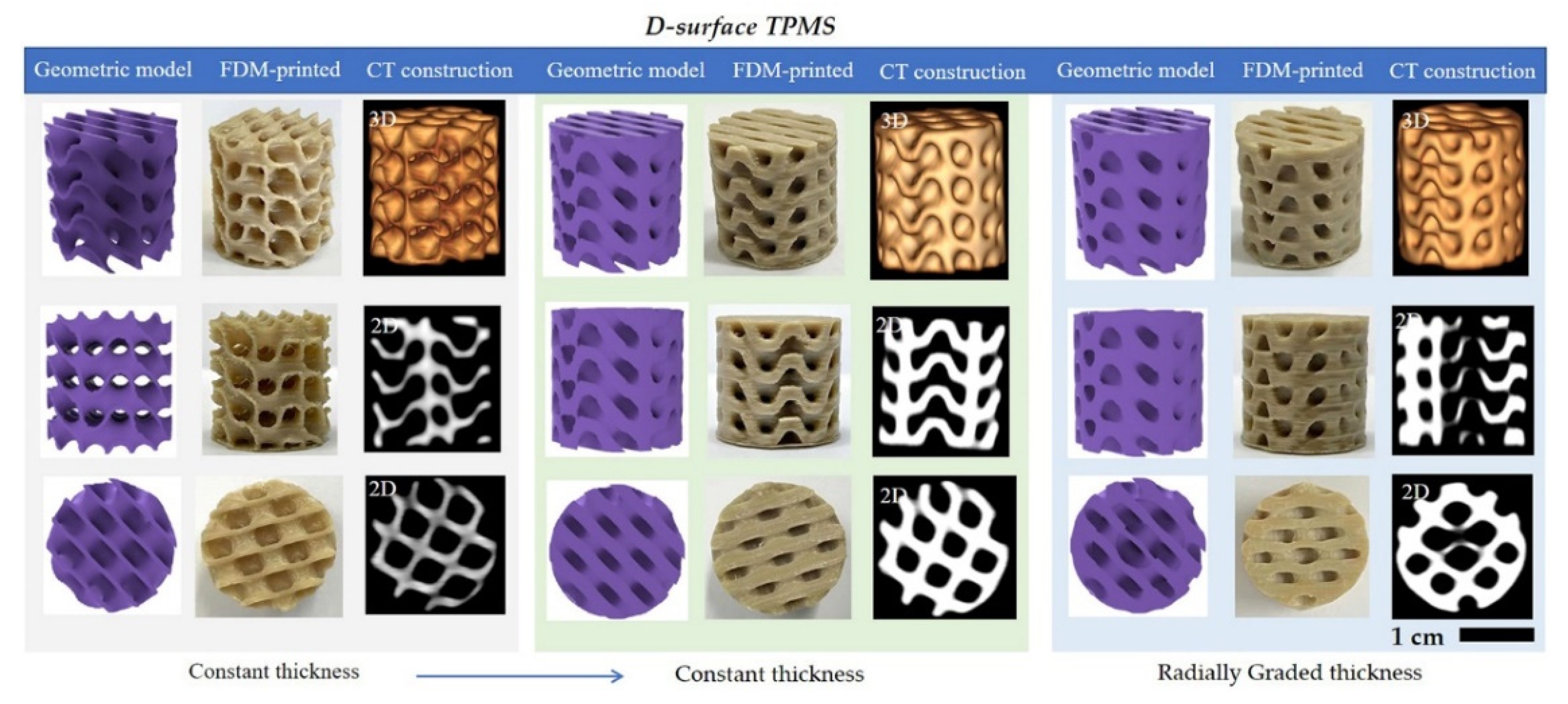 Polymers 13 03757 g008