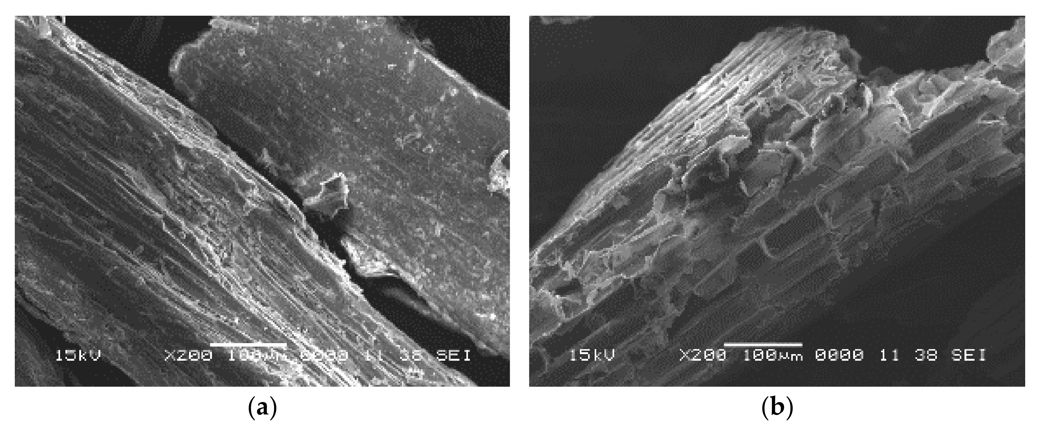 Polymers 13 03762 g004a