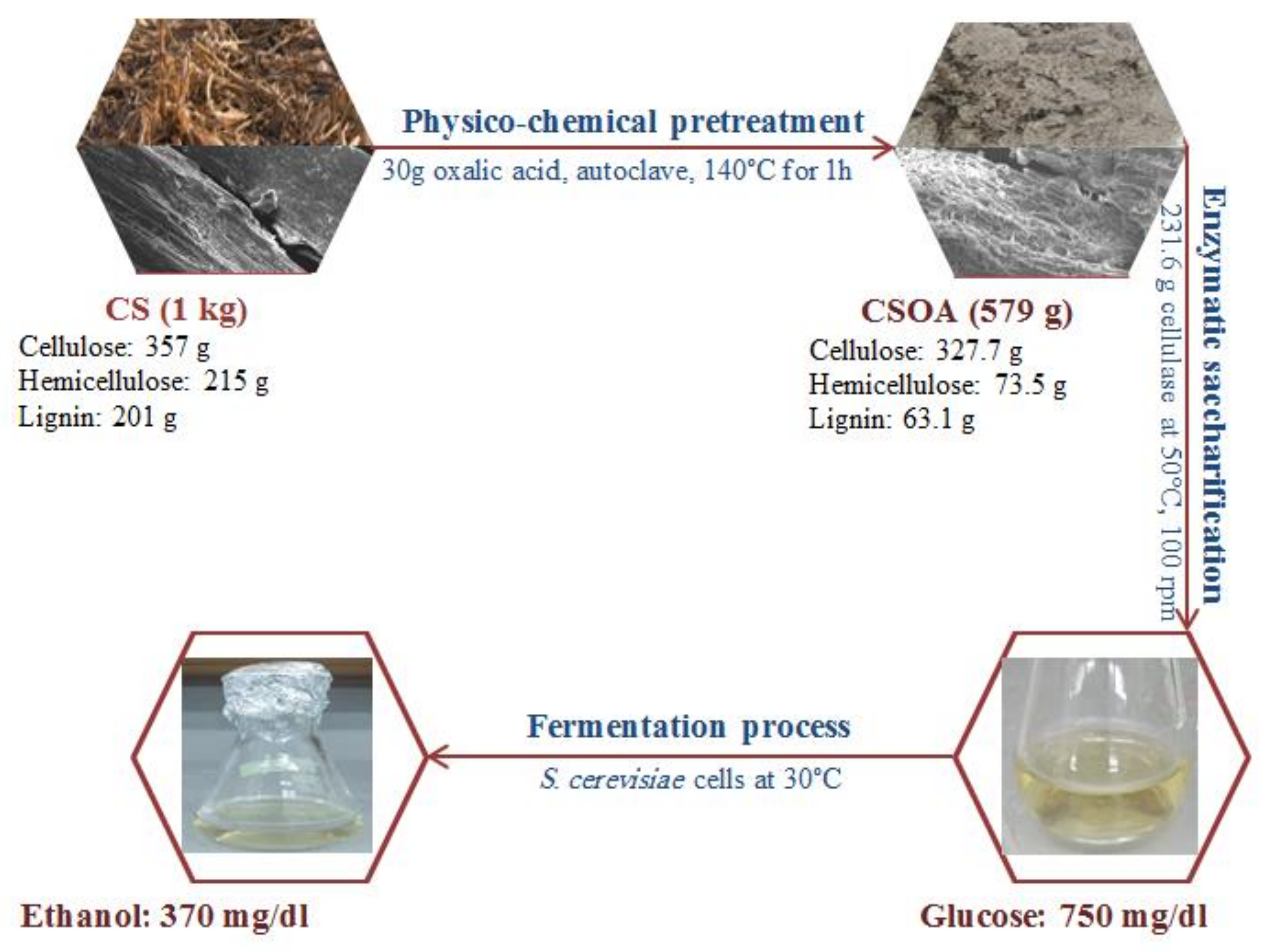 Polymers 13 03762 g010