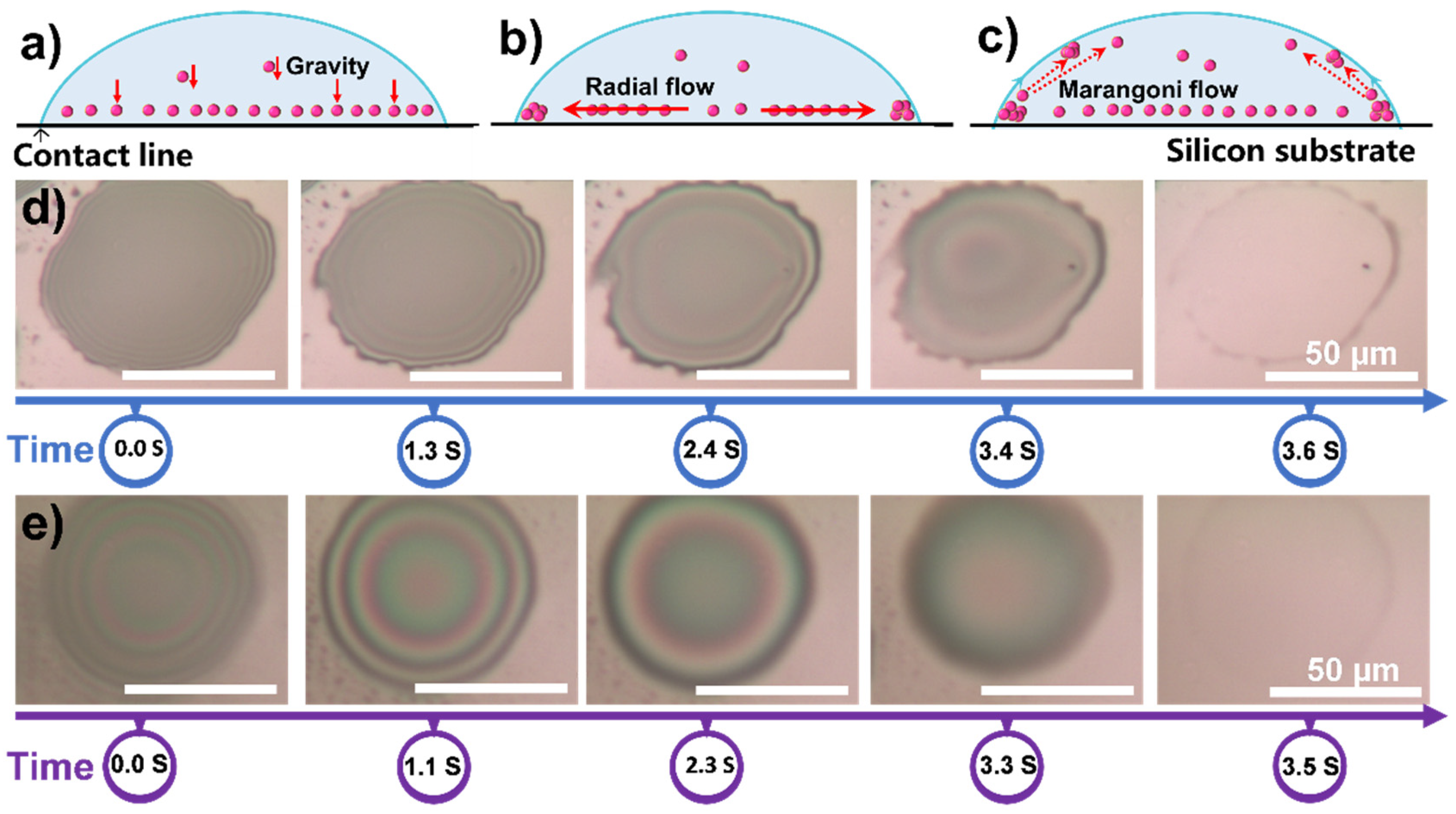 Polymers 13 03768 g003 550