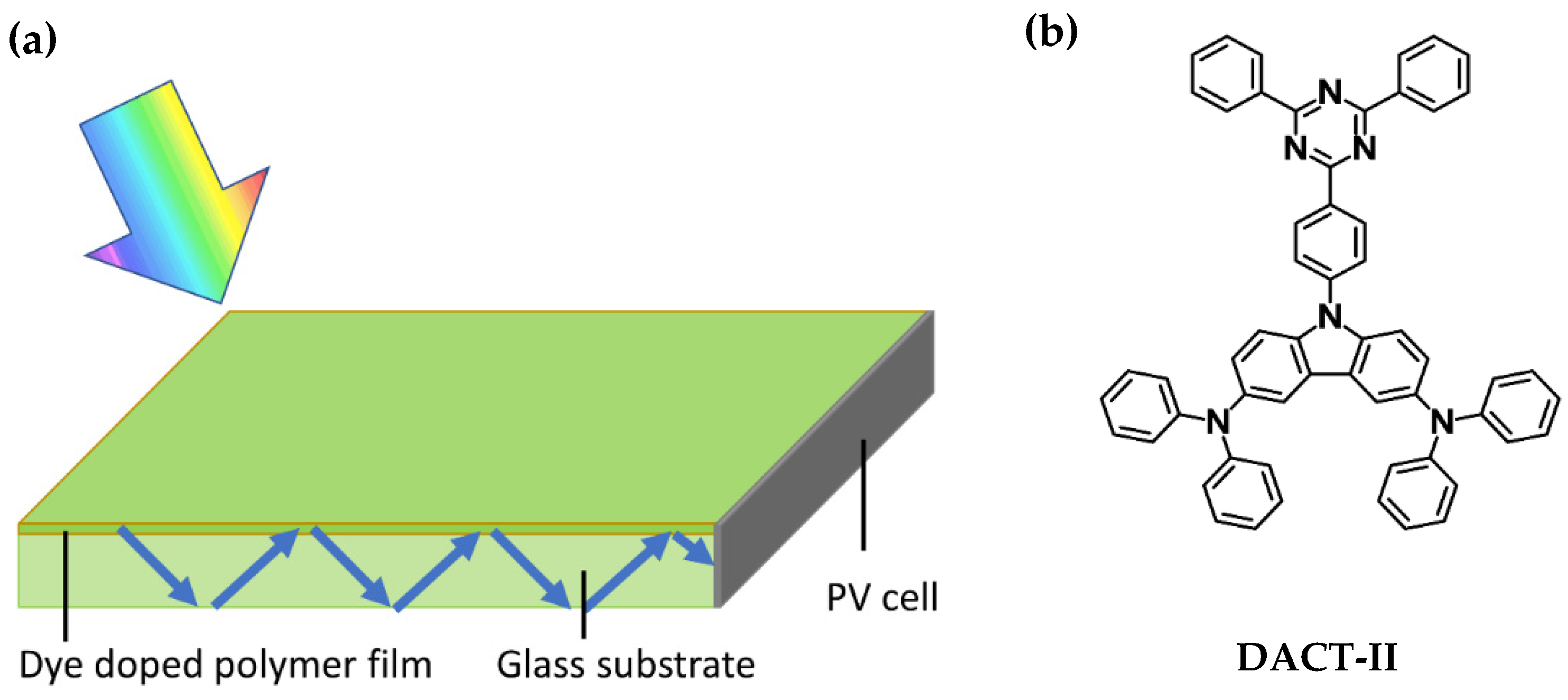 Polymers 13 03770 g001