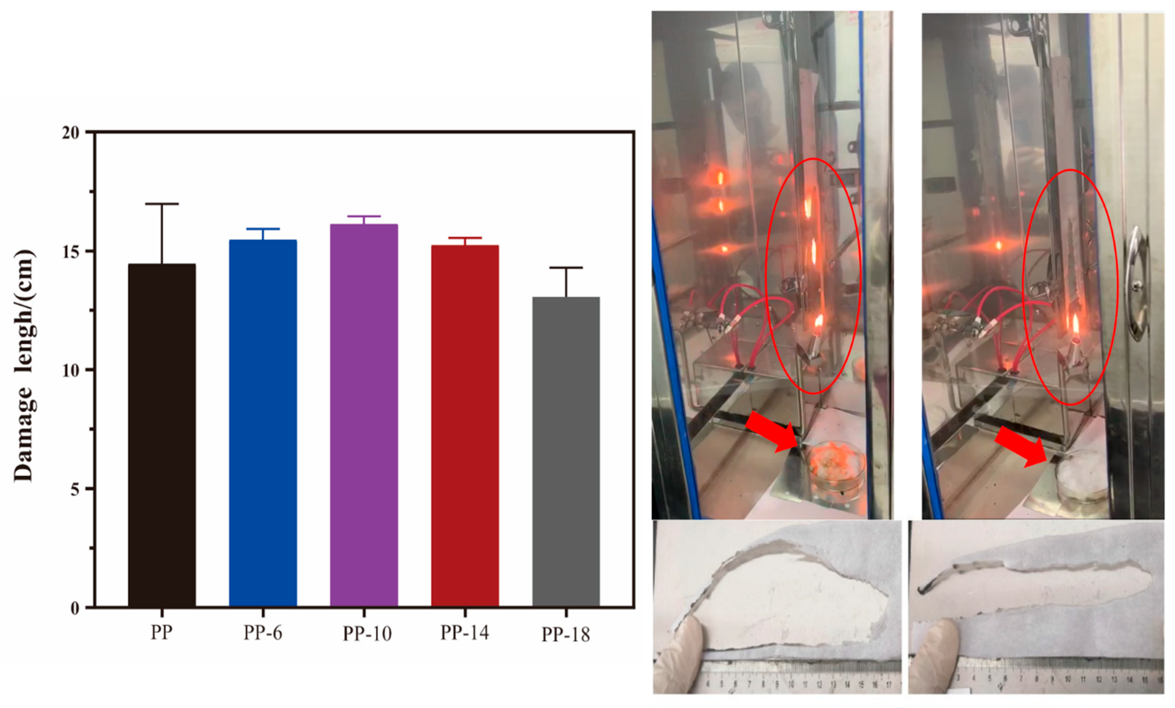Polymers 13 03773 g004 Polymers 13 03773 g004