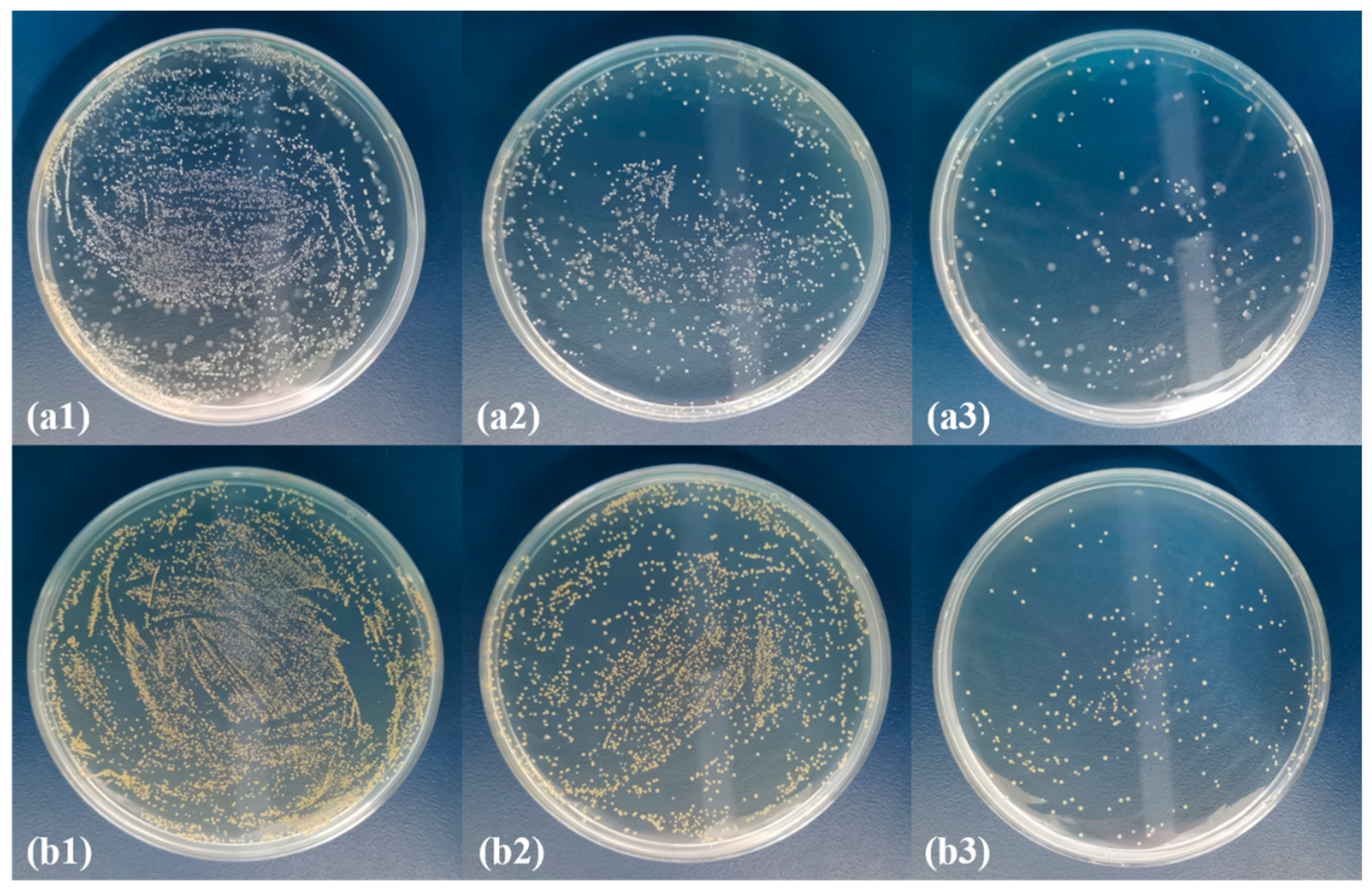 Polymers 13 03773 g008 Polymers 13 03773 g008