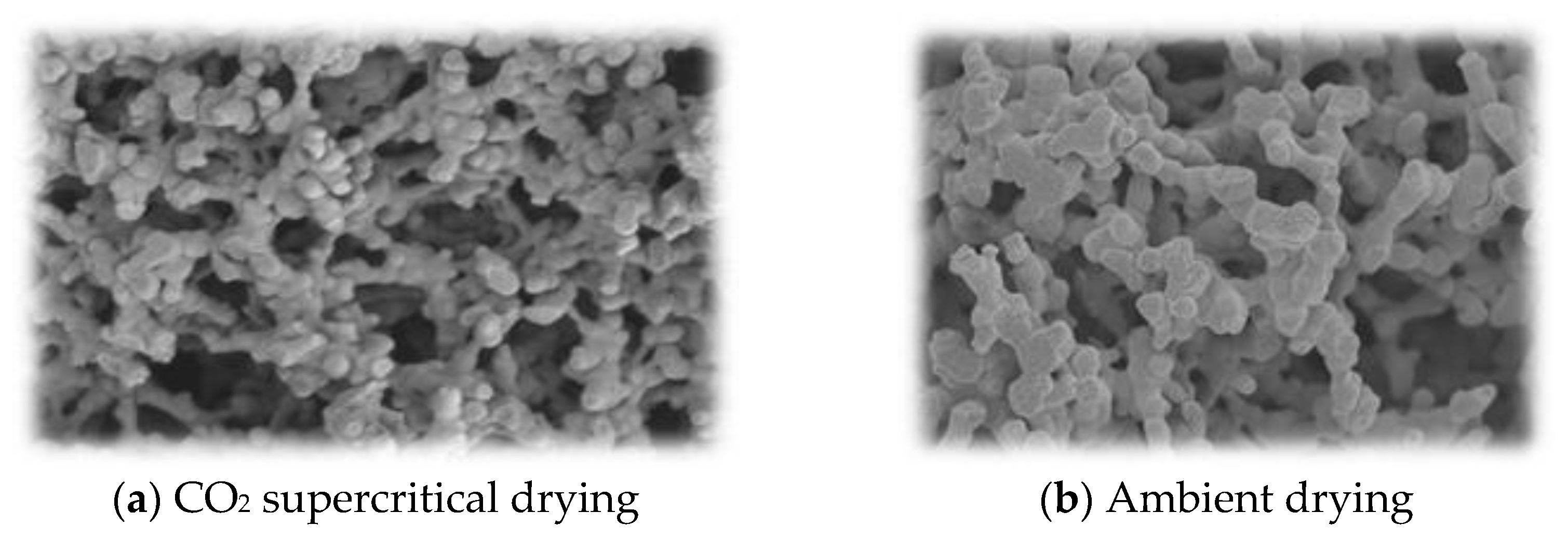 Polymers 13 03775 g002