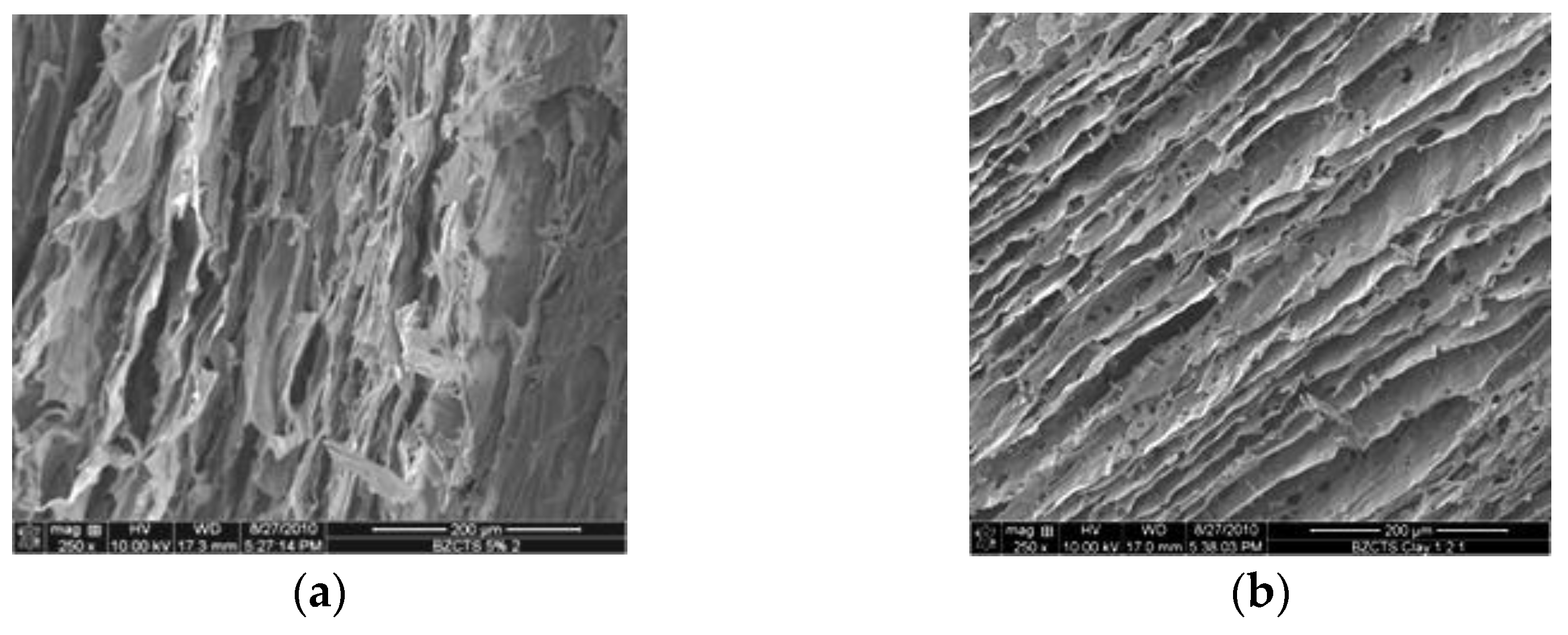 Polymers 13 03775 g003