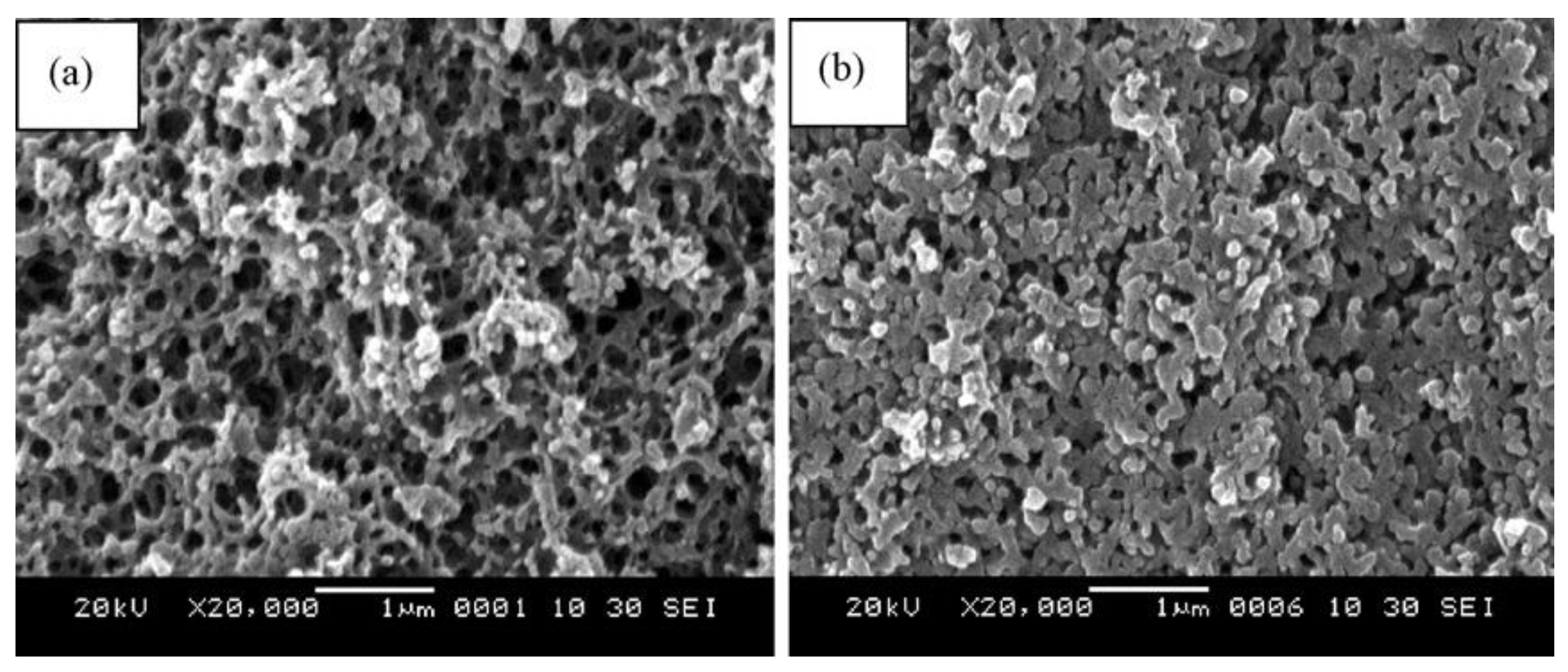 Polymers 13 03775 g029