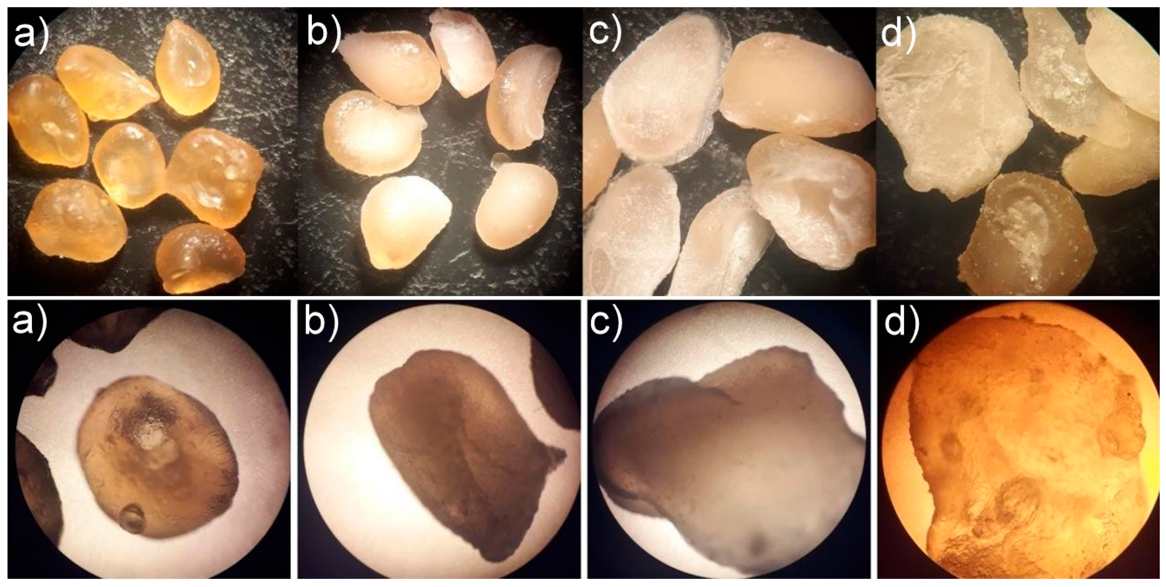 Polymers 13 03776 g001 Polymers 13 03776 g001