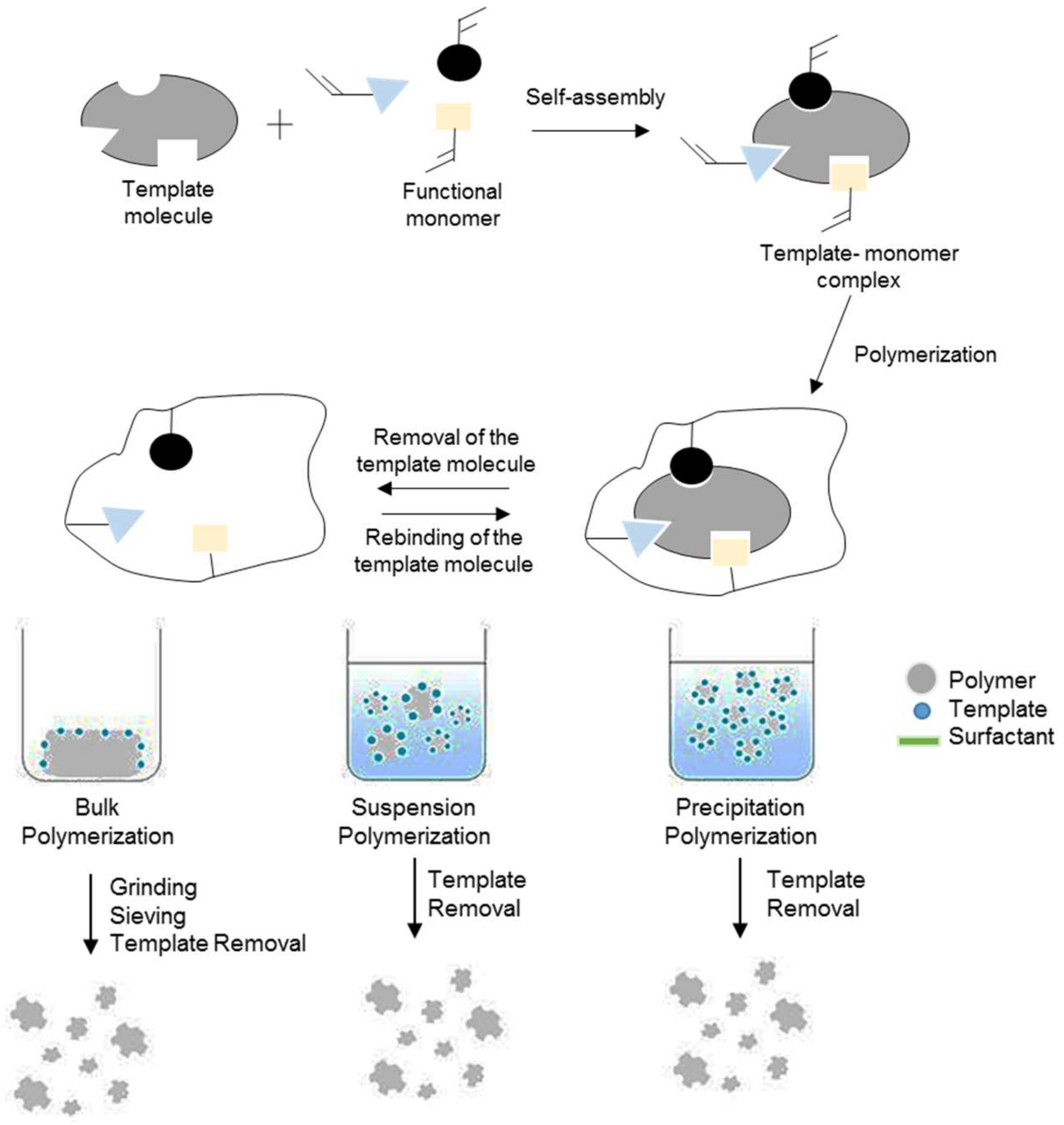 Polymers 13 03780 g004