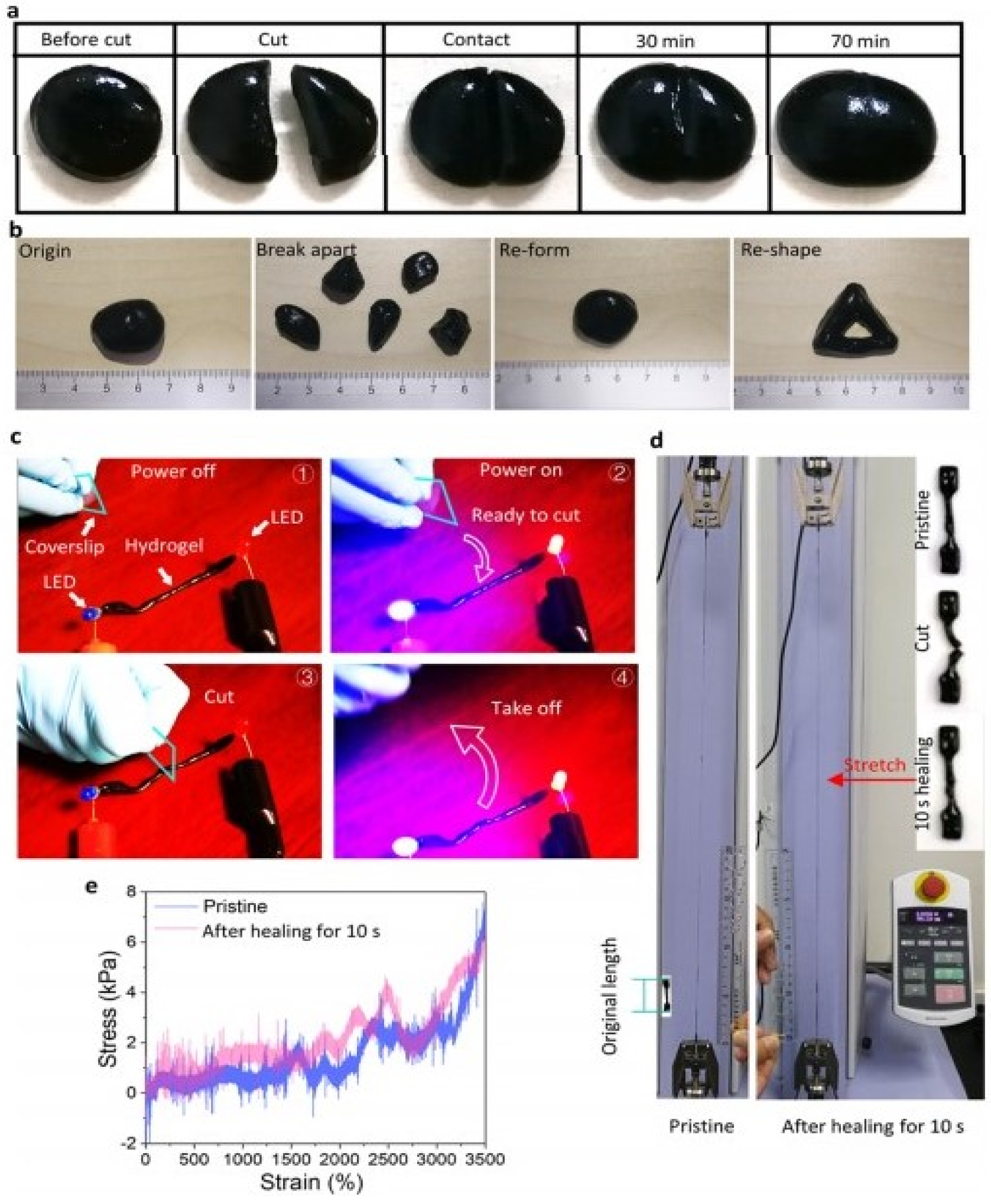 Polymers 13 03782 g006