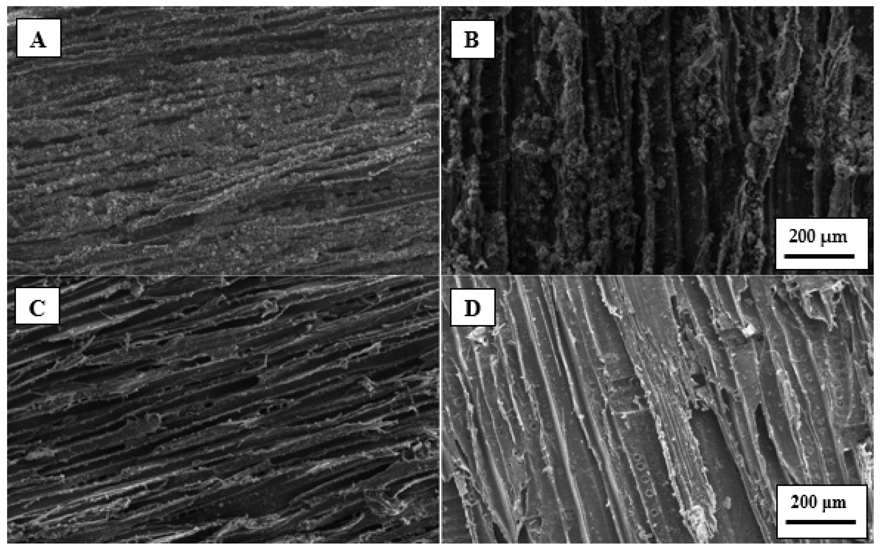 Polymers 13 03795 g006 Polymers 13 03795 g006
