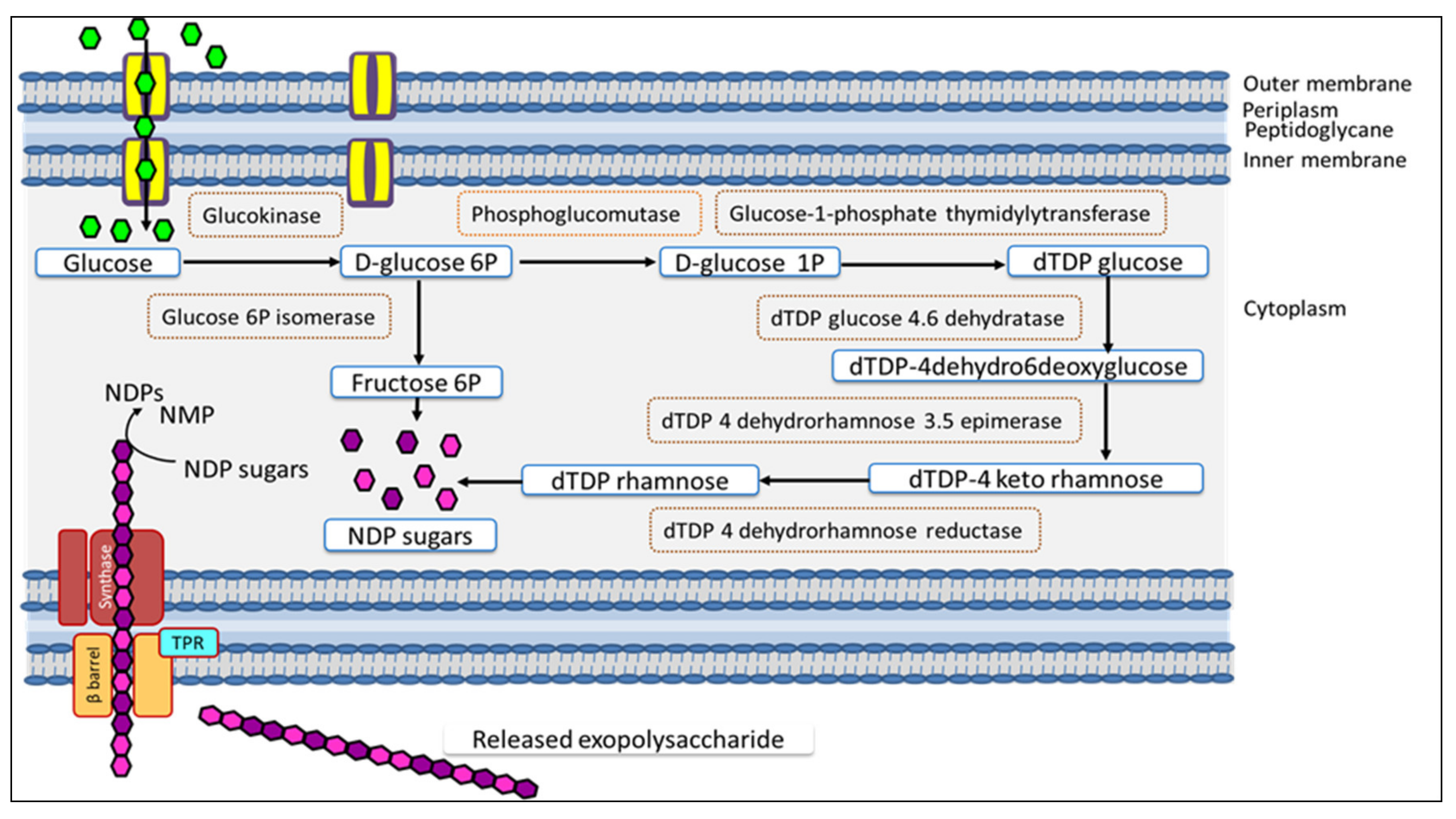 Polymers 13 03798 g009 550