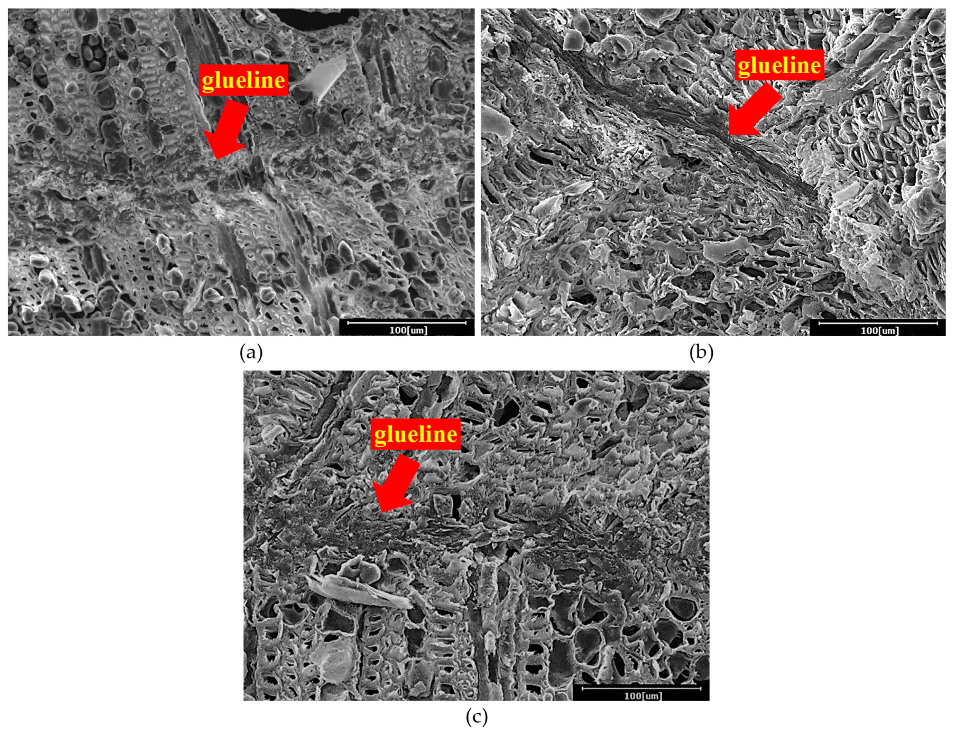 Polymers 13 03799 g003 550
