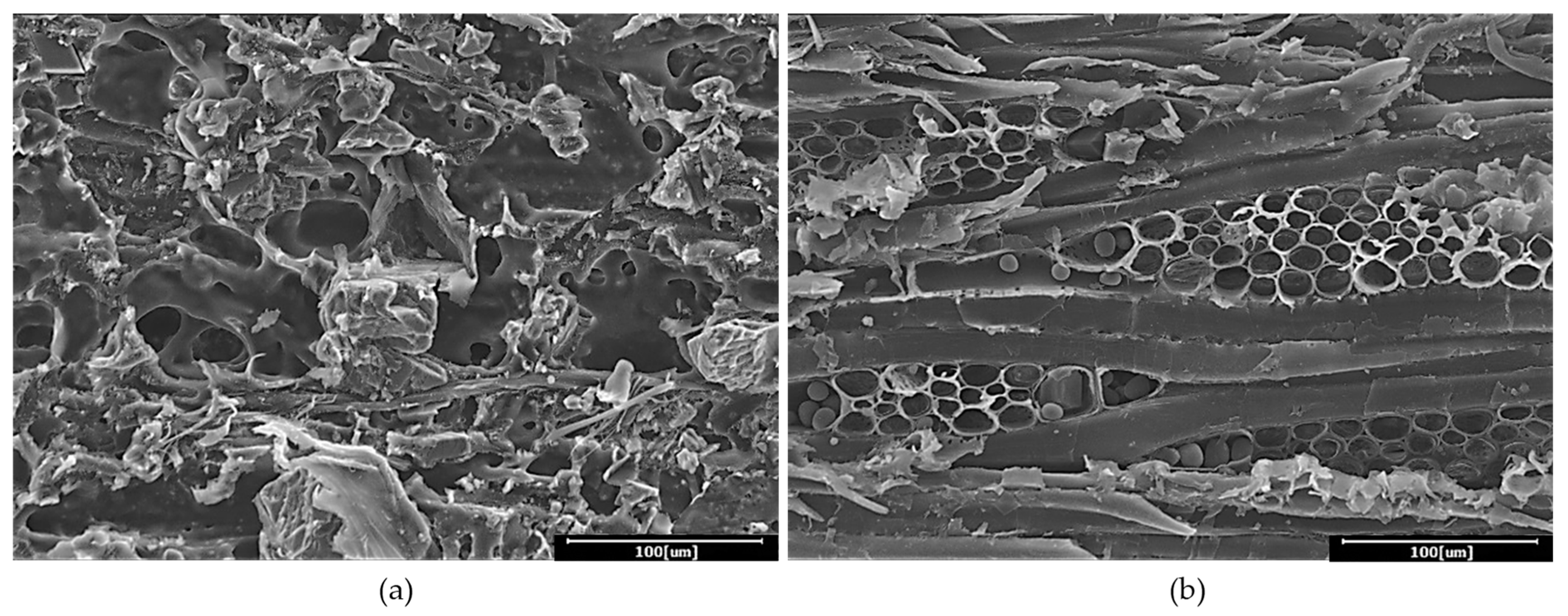 Polymers 13 03799 g006 550