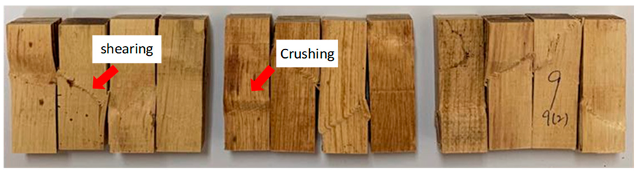 Polymers 13 03799 i002