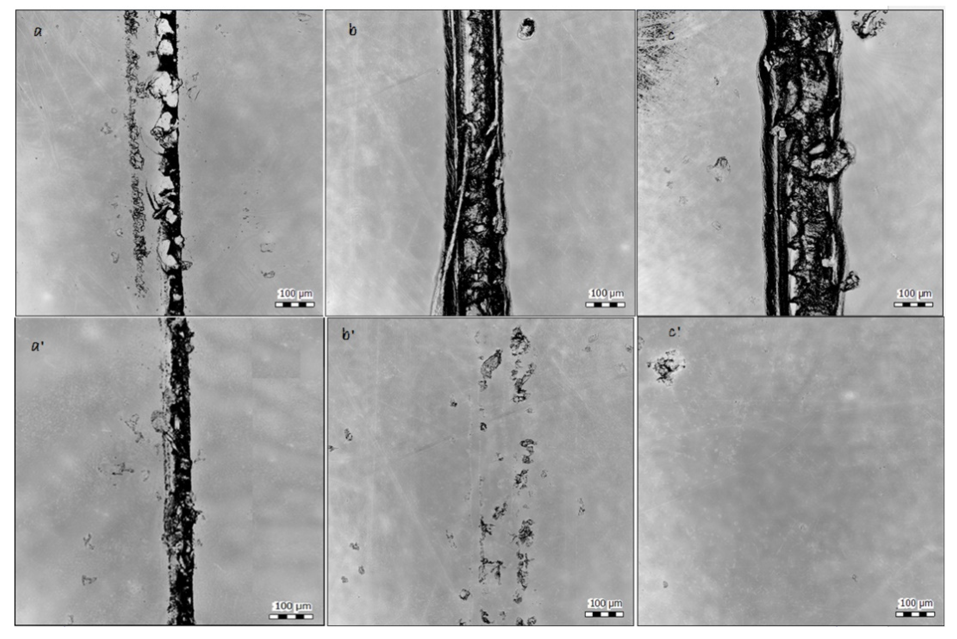 Polymers 13 03803 g010