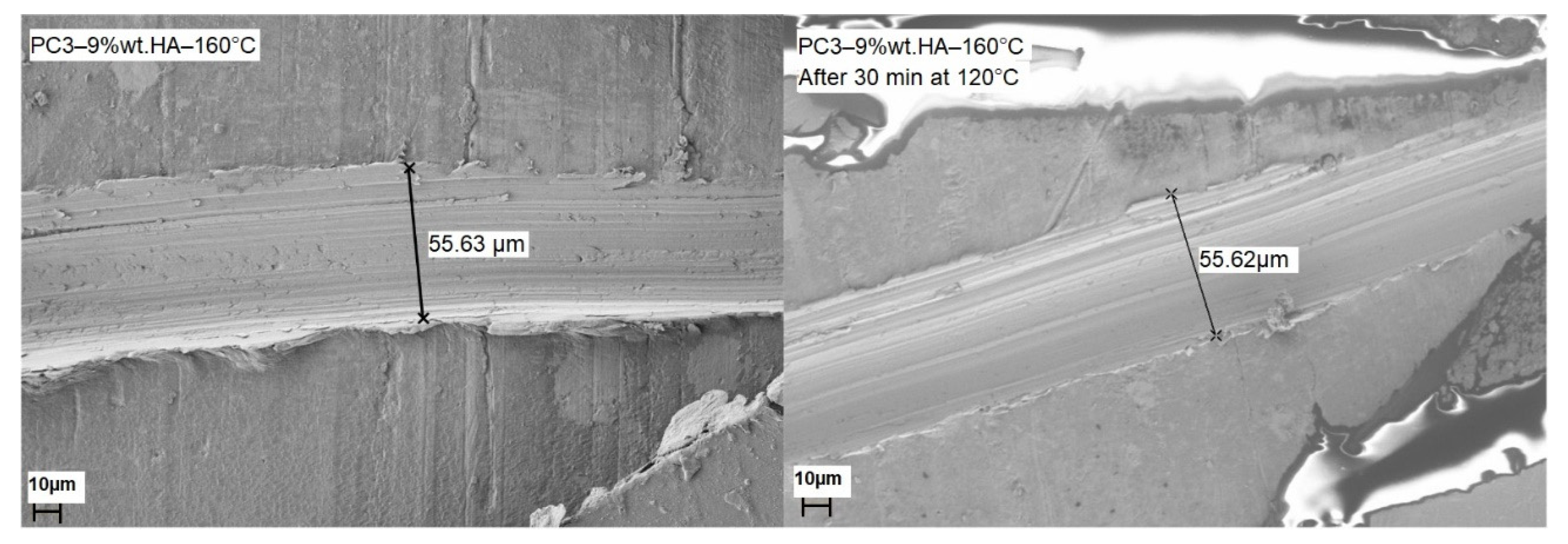 Polymers 13 03803 g011
