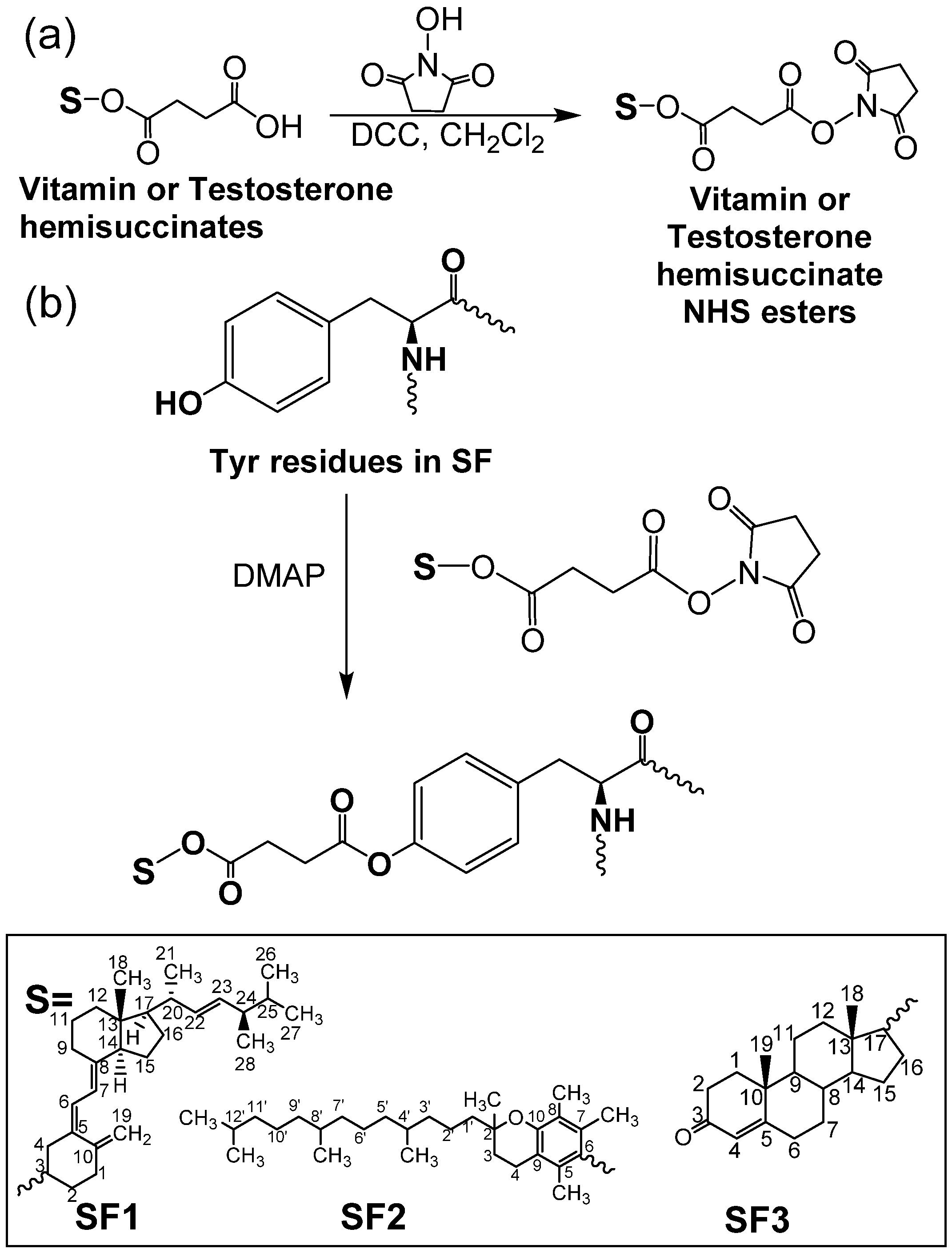 Polymers 13 03804 g001 550