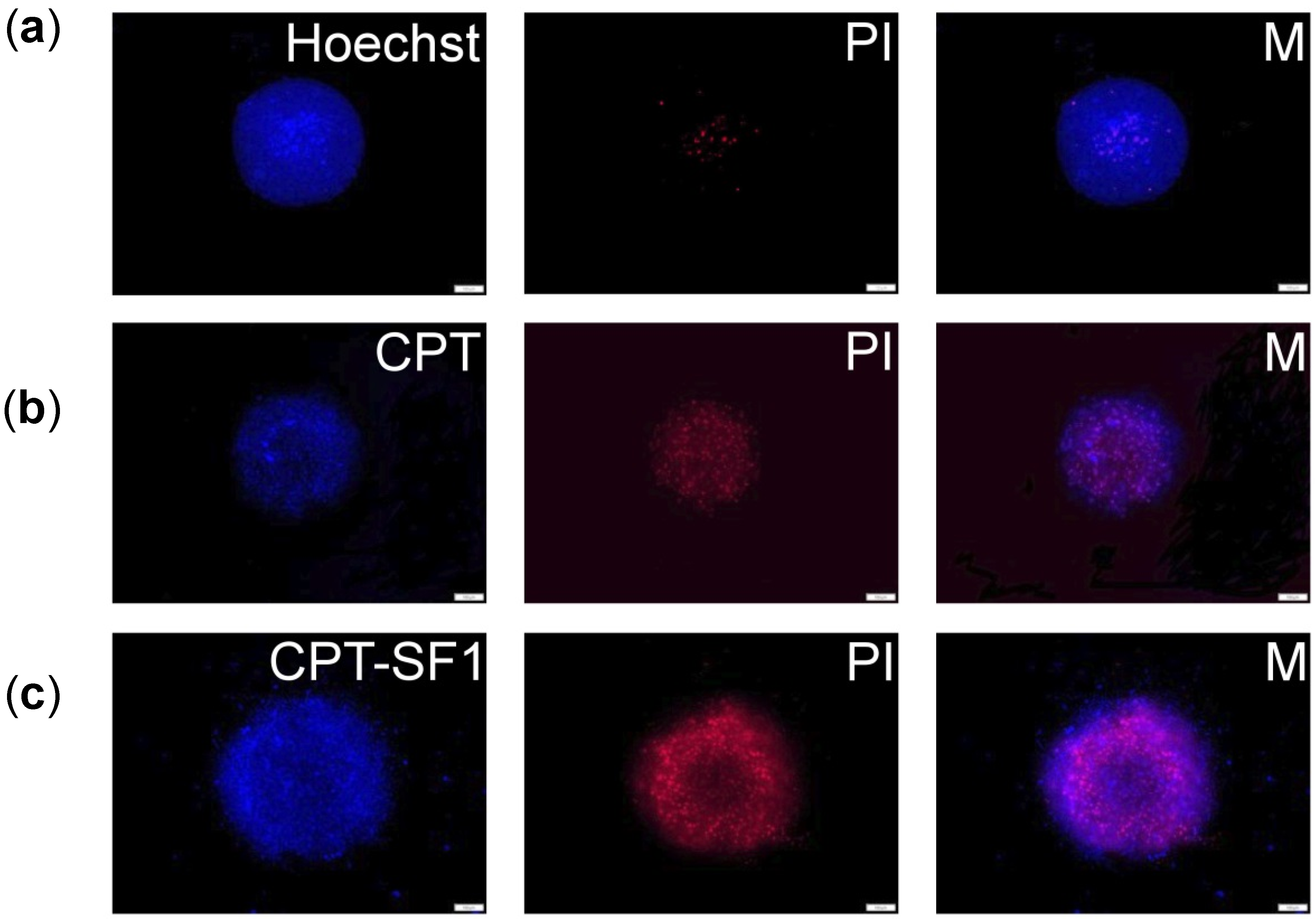 Polymers 13 03804 g008 550