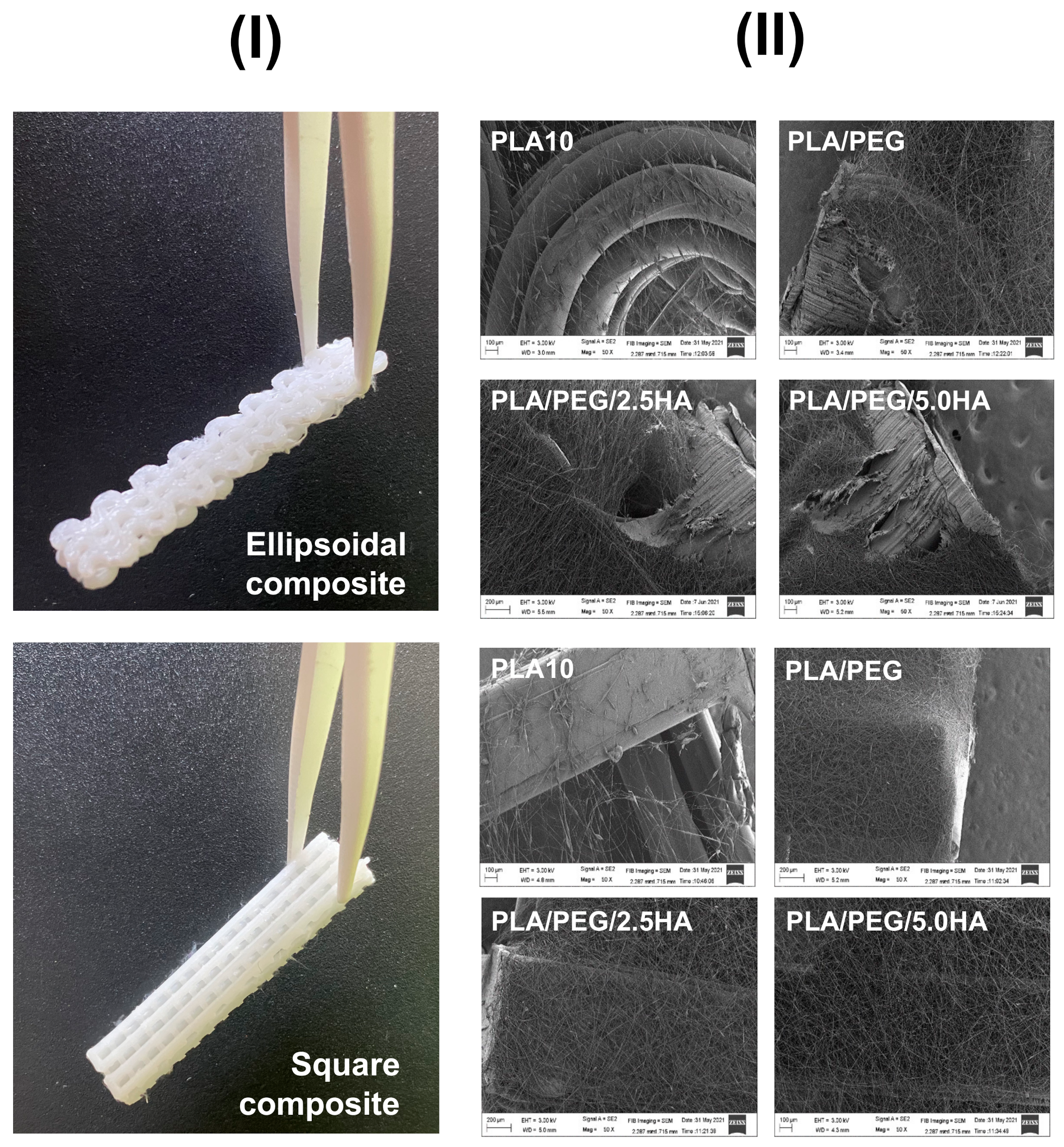 Polymers 13 03806 g006