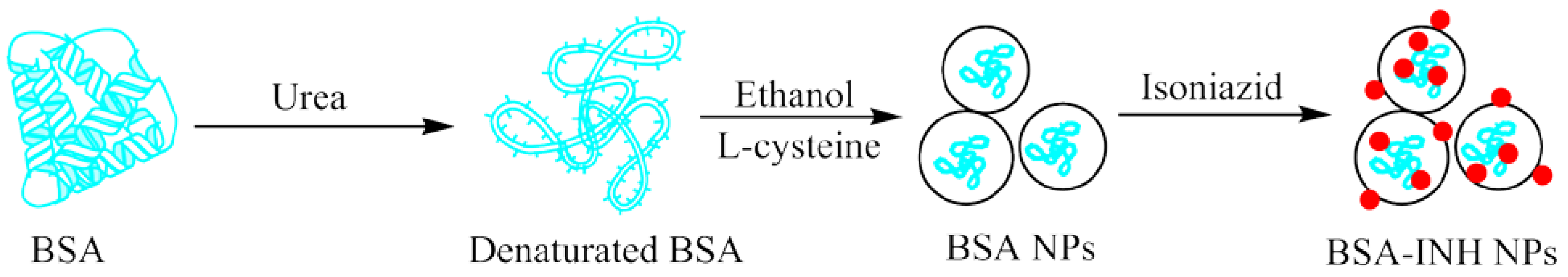 Polymers 13 03808 g001 550
