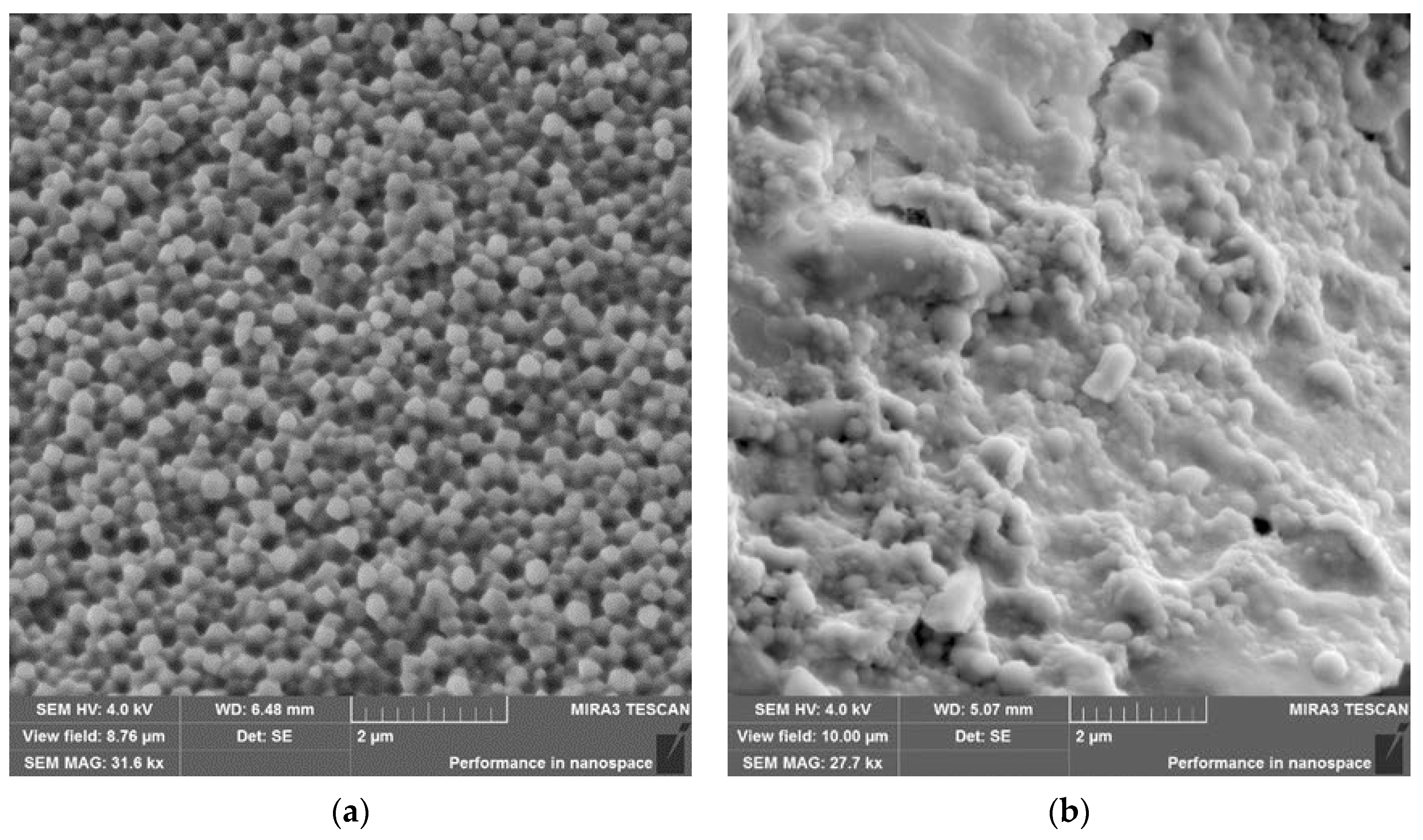 Polymers 13 03808 g004 550