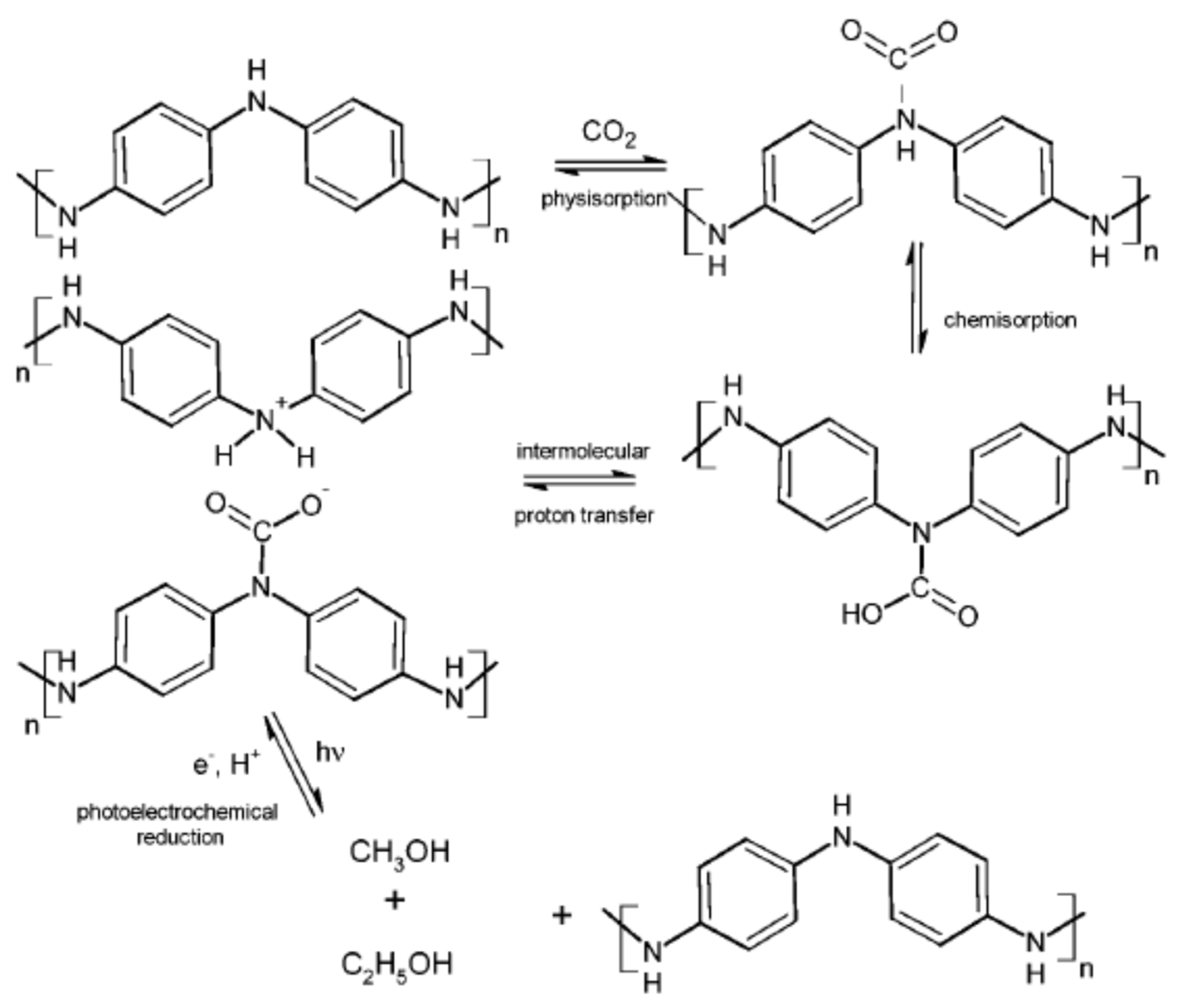 Polymers 13 03810 g004