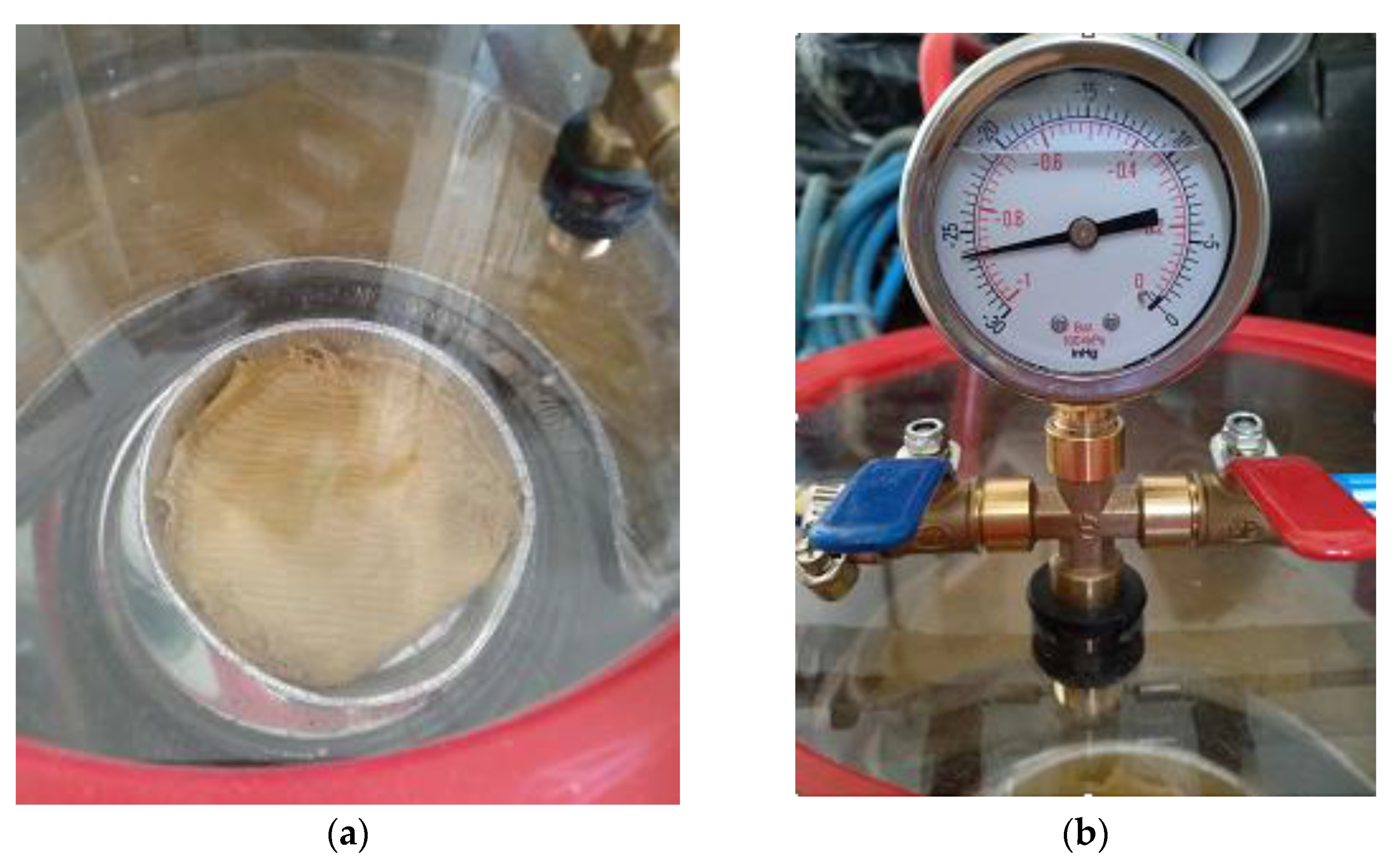 Polymers 13 03812 g004