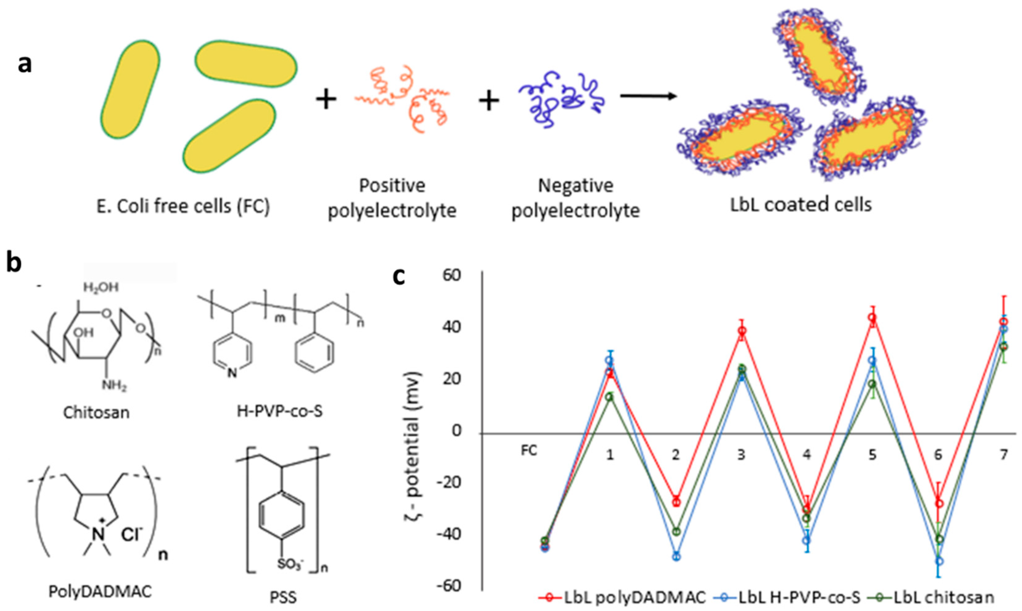 Polymers 13 03814 g002