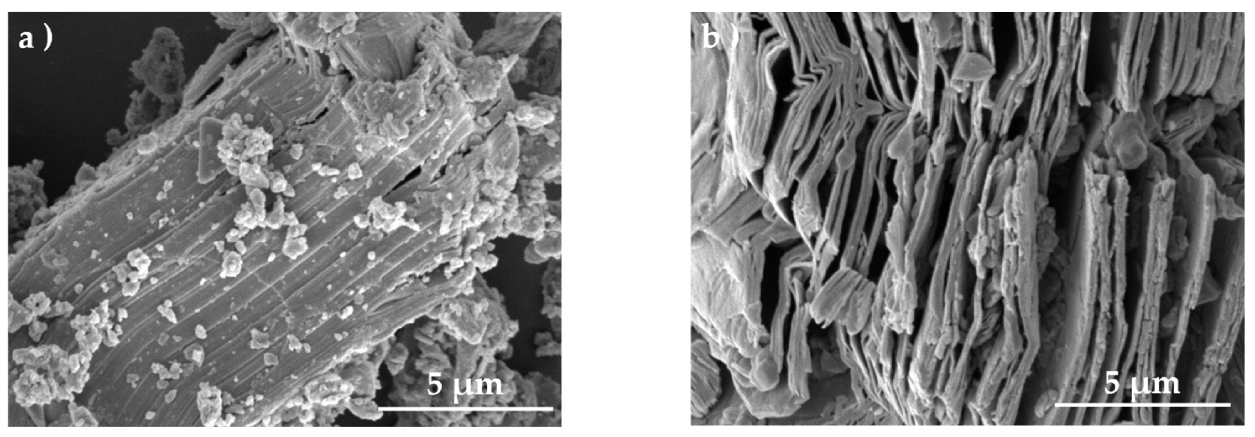 Polymers 13 03815 g003
