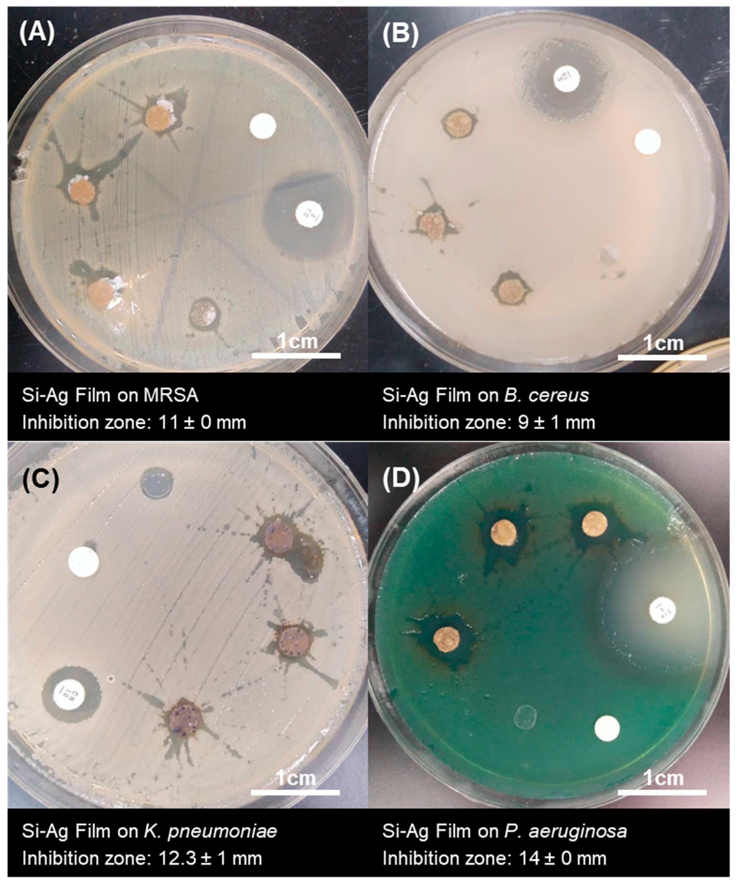 Polymers 13 03822 g008
