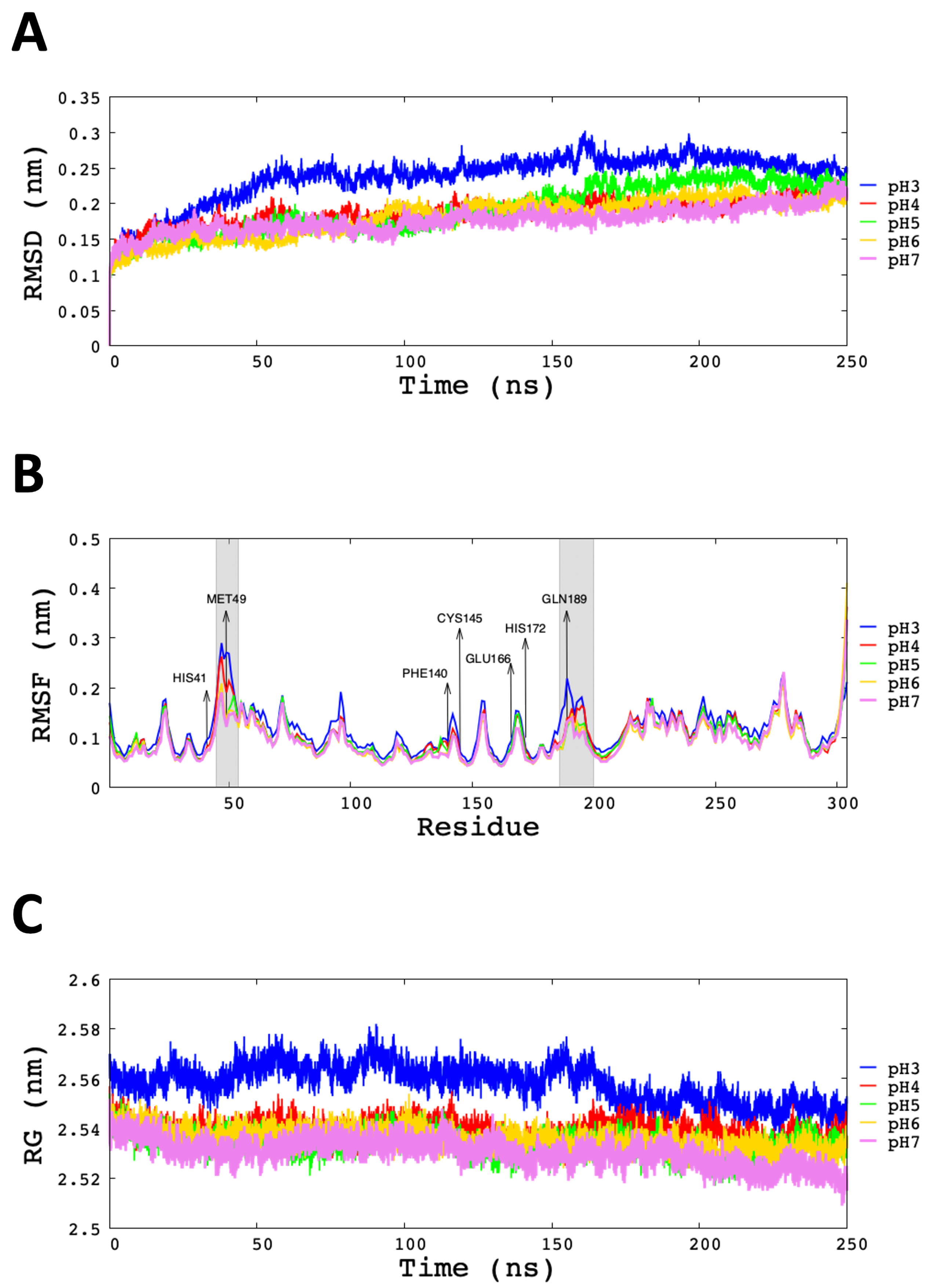 Polymers 13 03823 g004 Polymers 13 03823 g004