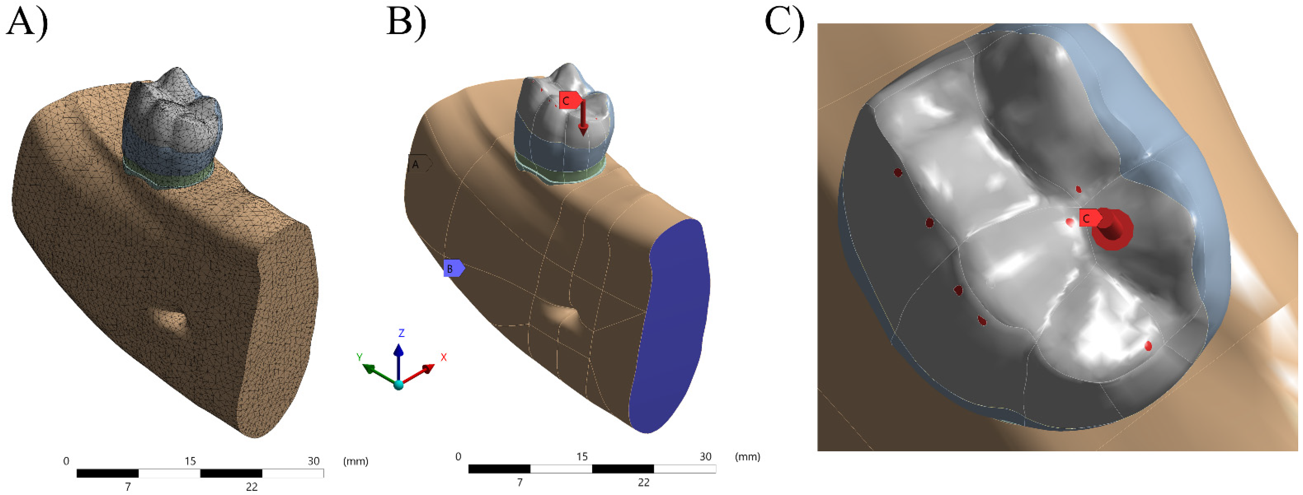 Polymers 13 03831 g001