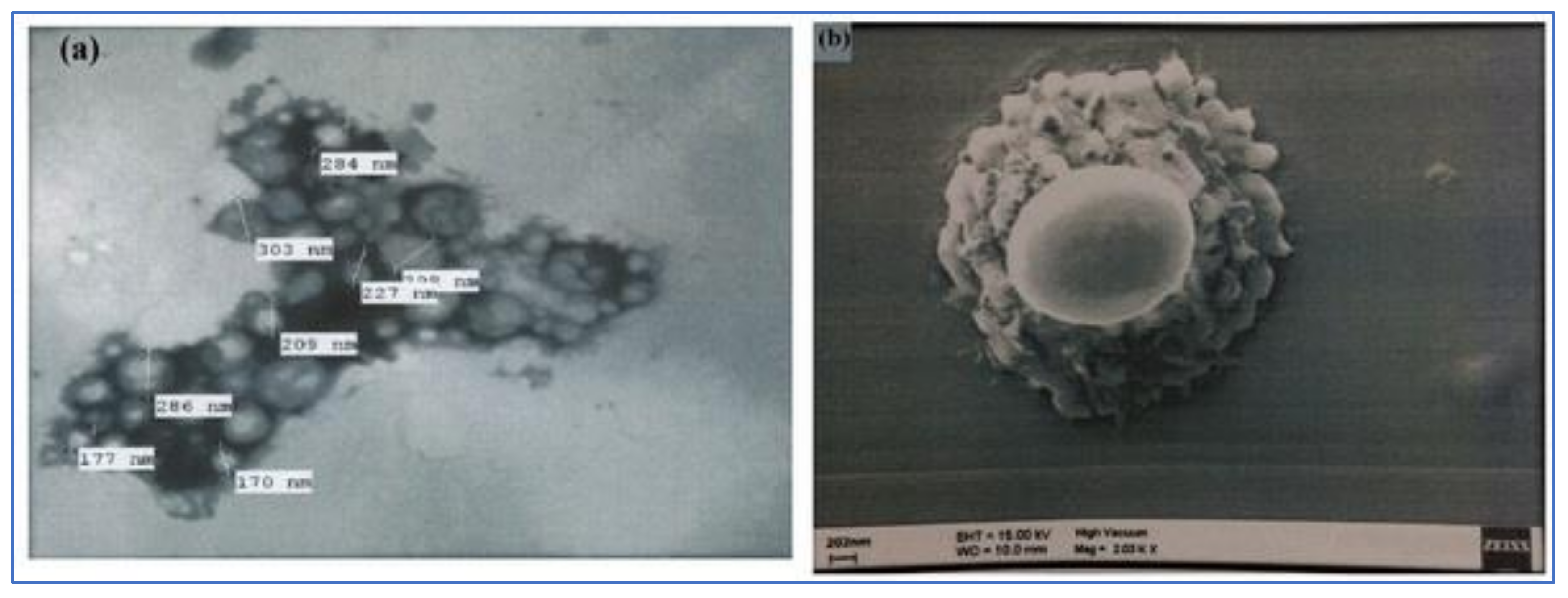 Polymers 13 03833 g004