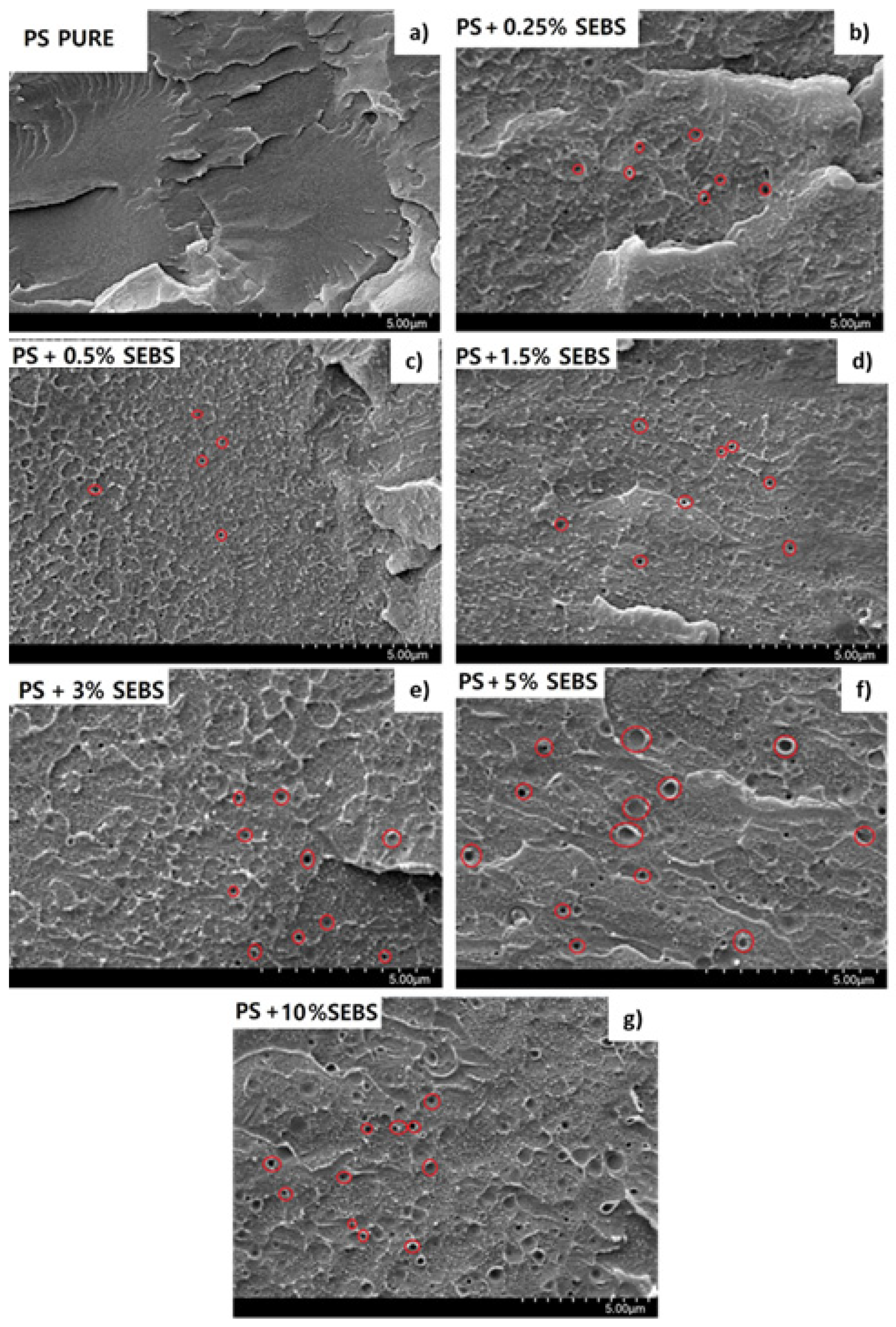 Polymers 13 03836 g001 550