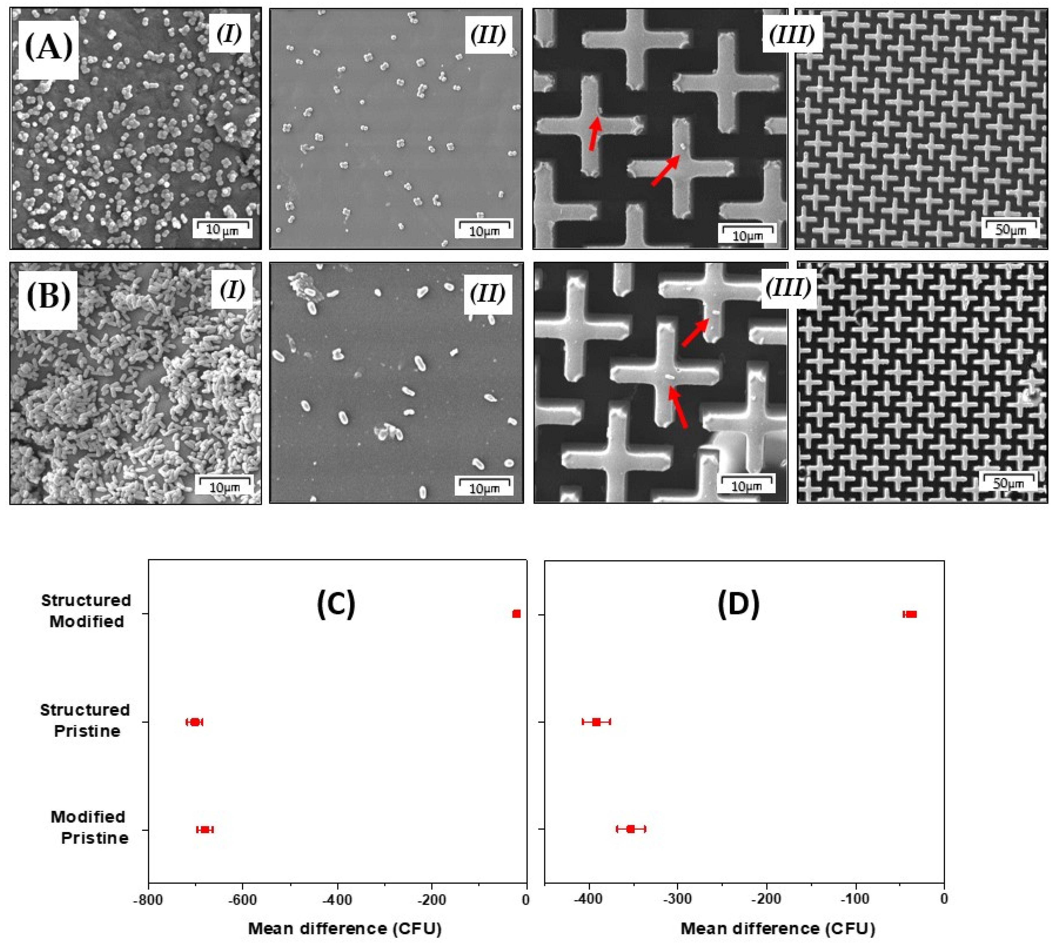 Polymers 13 03838 g006