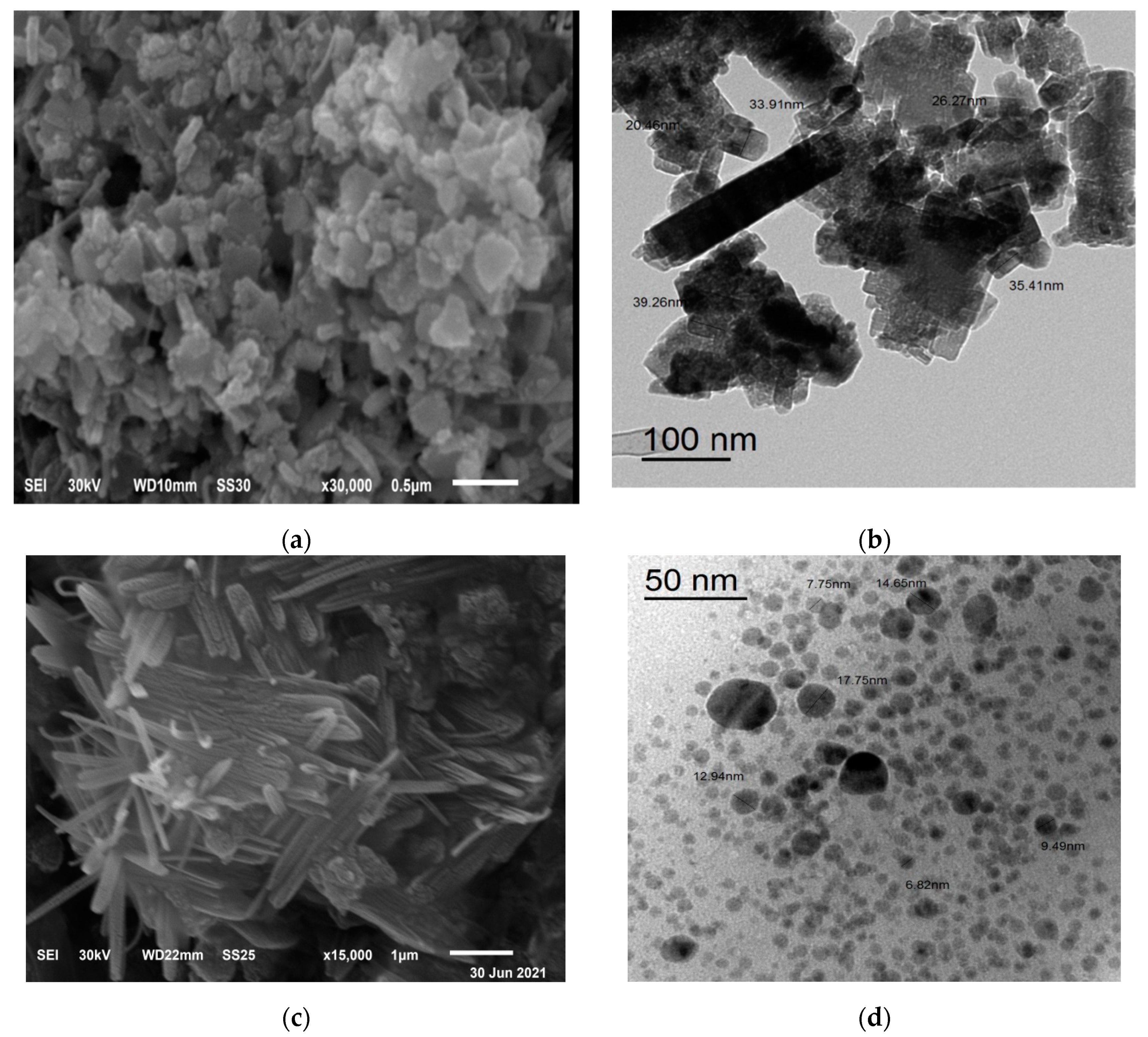 Polymers 13 03839 g005