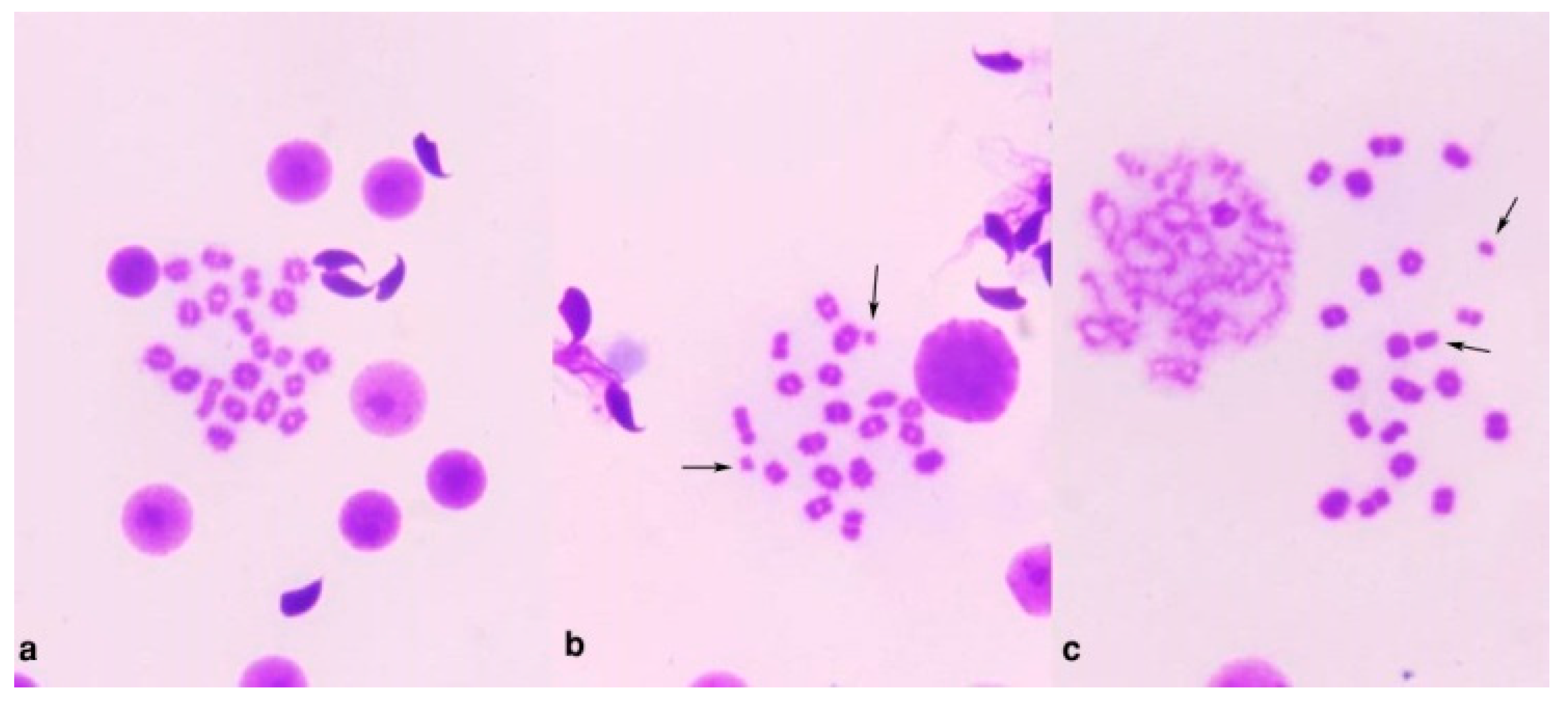 Polymers 13 03839 g009