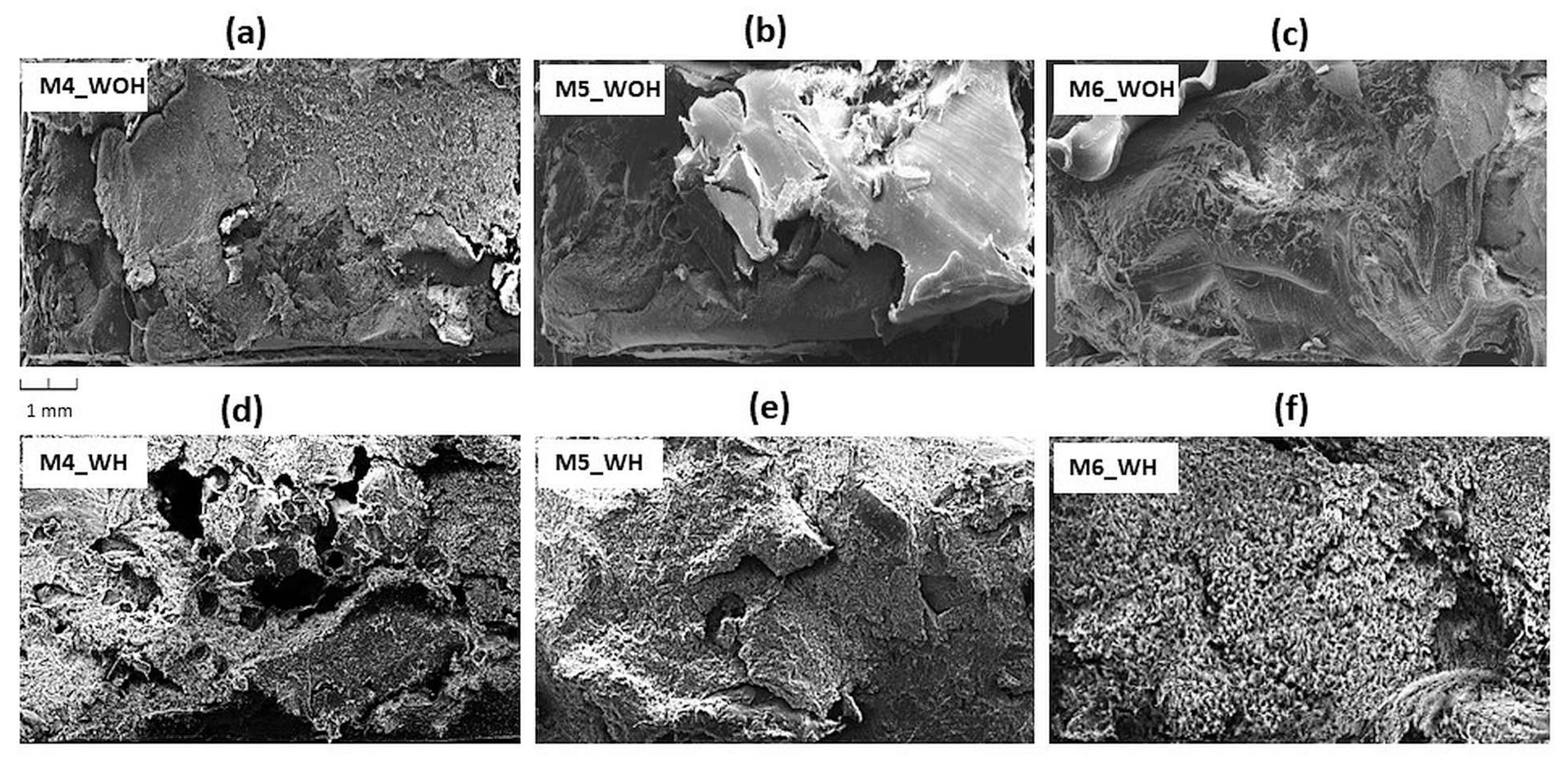 Polymers 13 03845 g008 Polymers 13 03845 g008