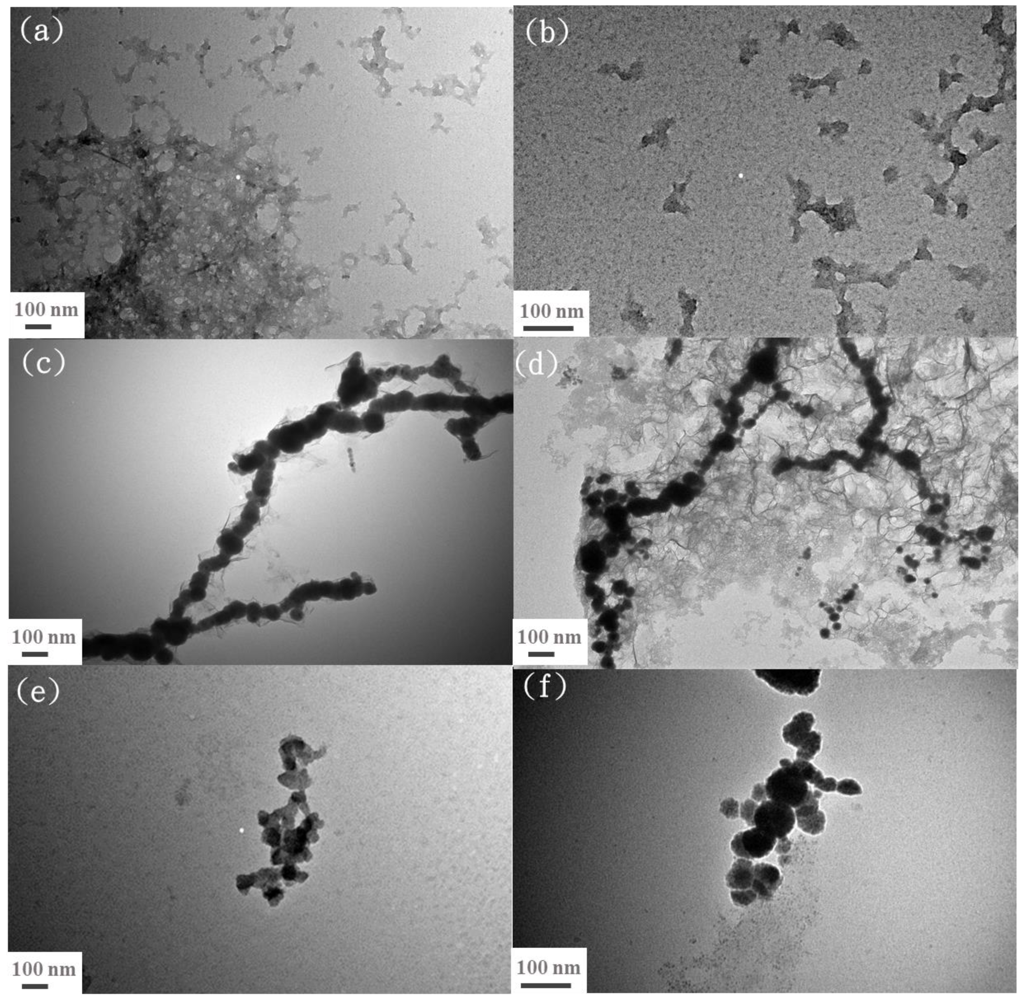 Polymers 13 03847 g003 550