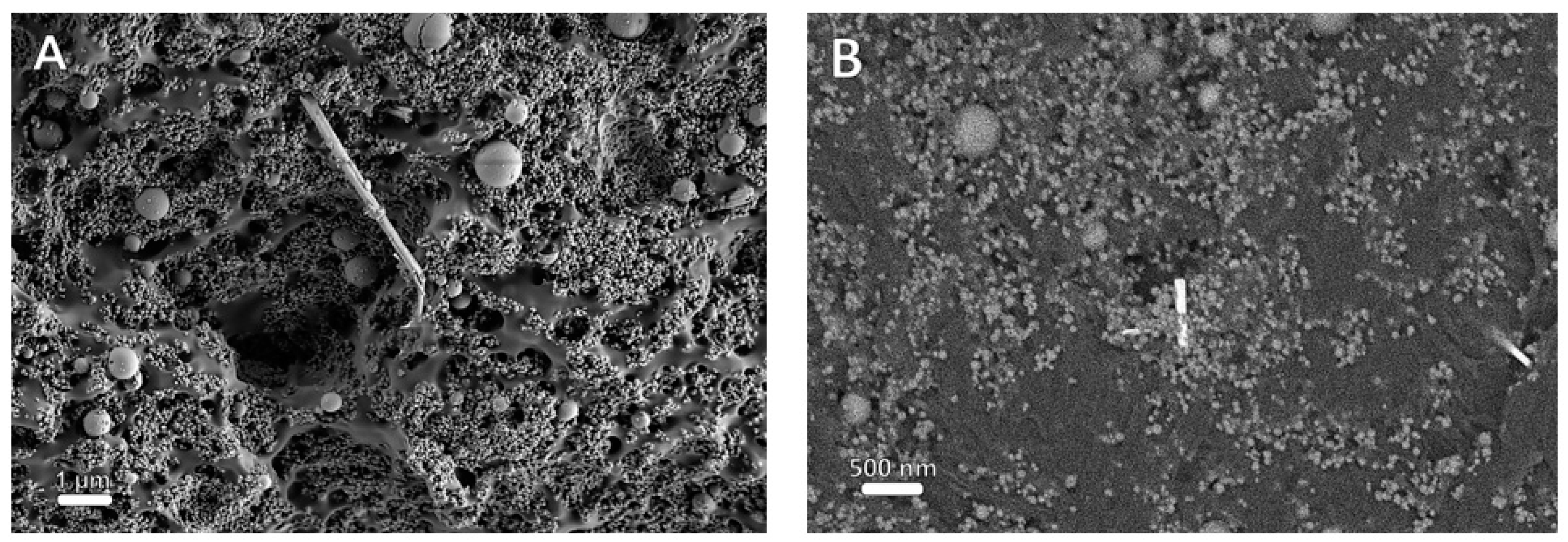 Polymers 13 03851 g004