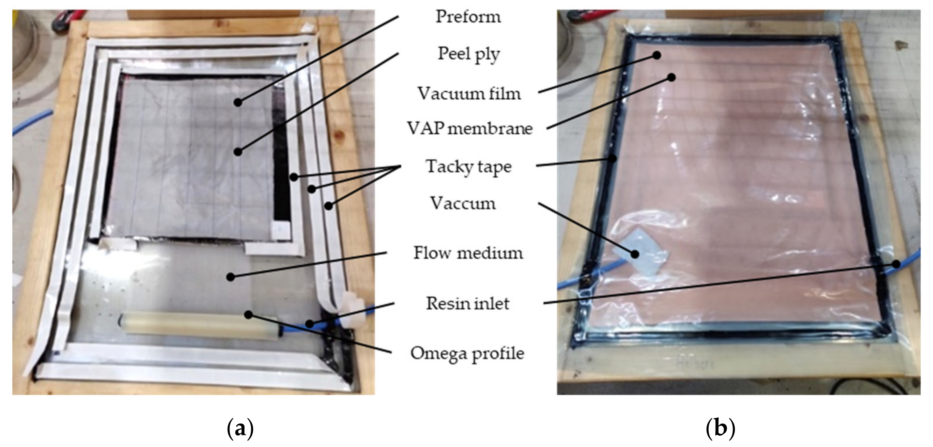 Polymers 13 03853 g006 550