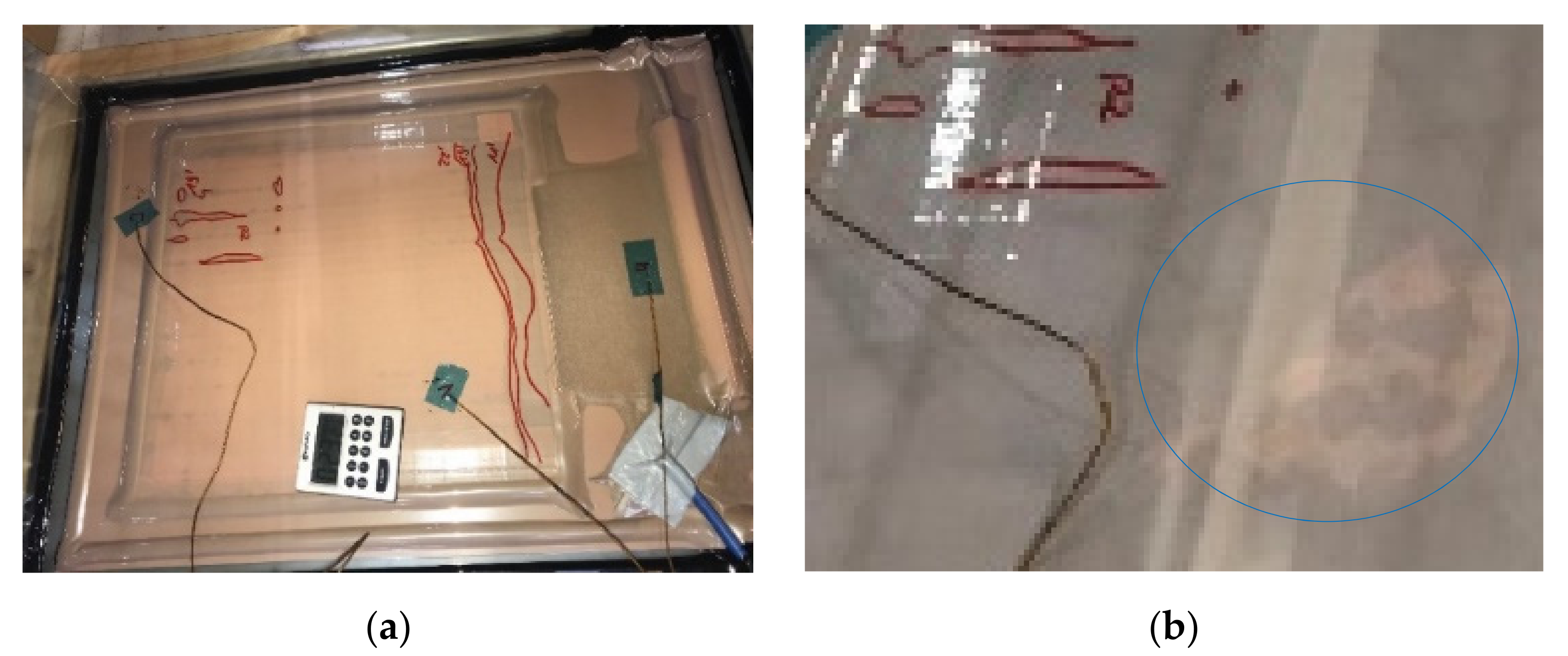 Polymers 13 03853 g007 550