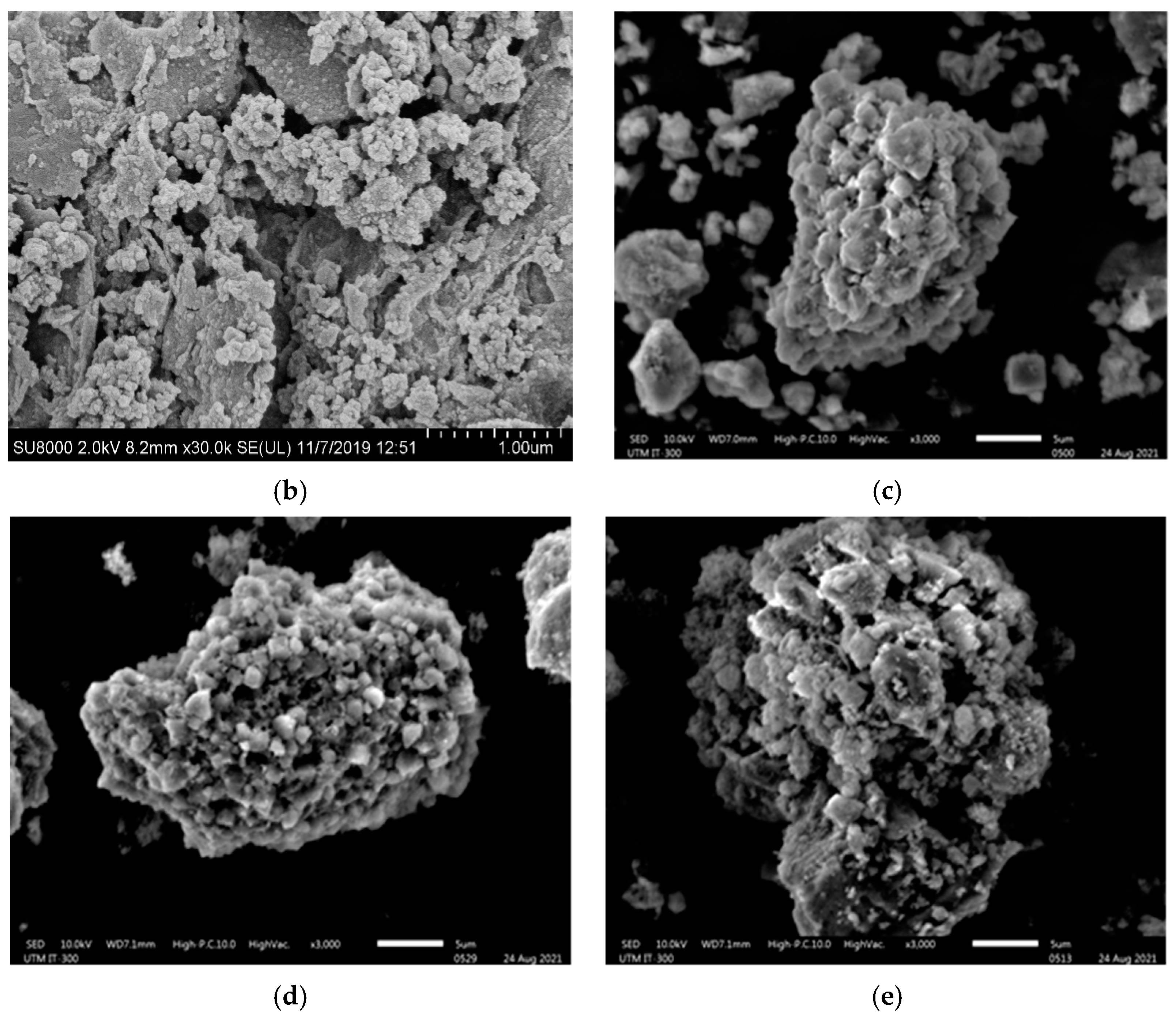 Polymers 13 03854 g006b