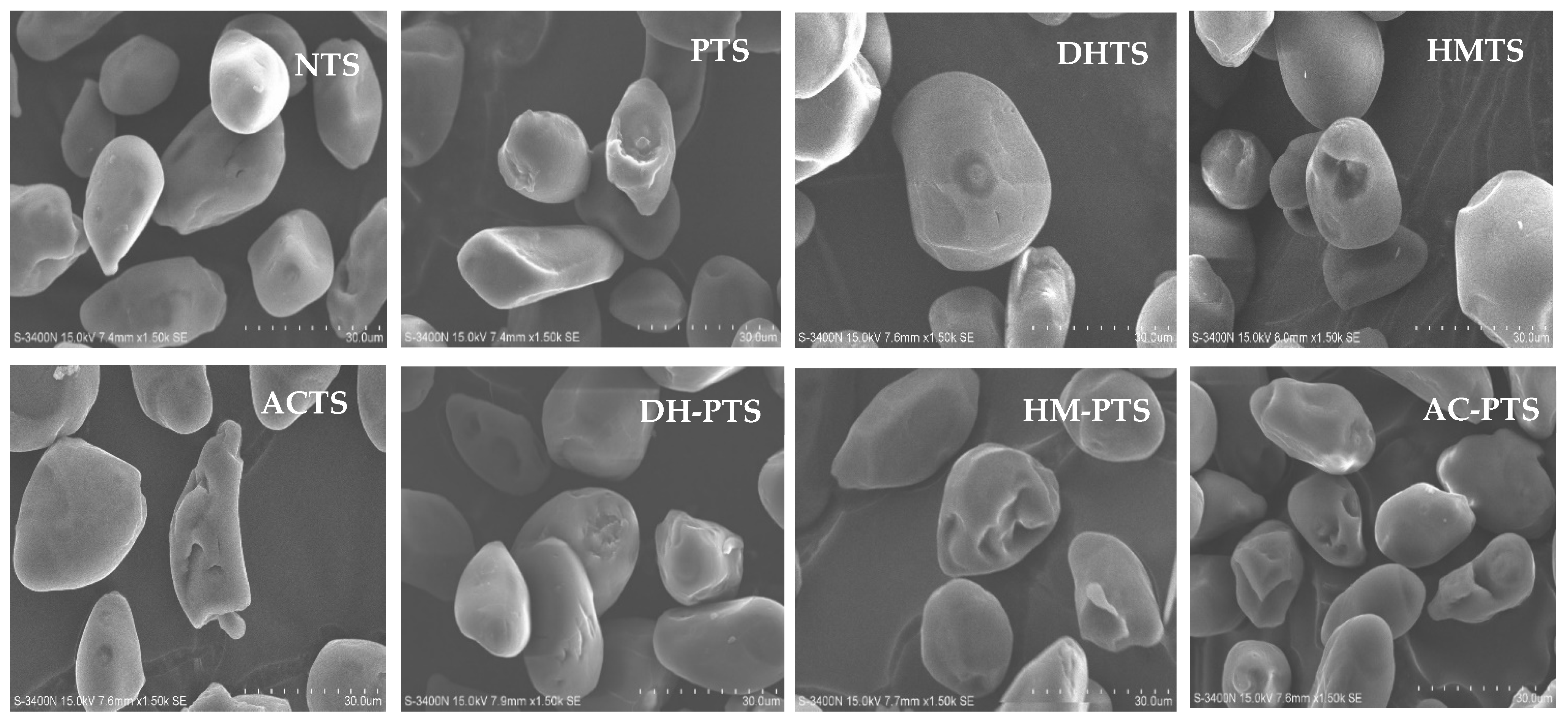 Polymers 13 03855 g001