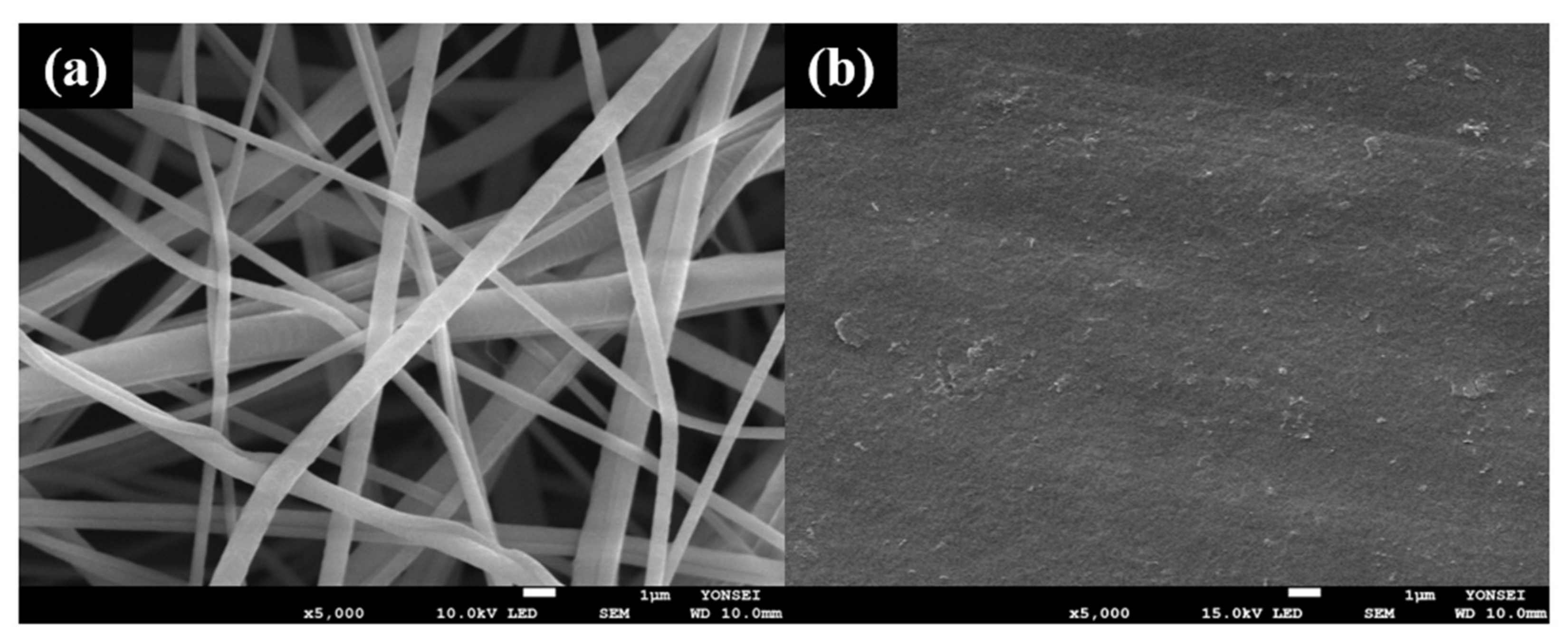 Polymers 13 03856 g002a 550