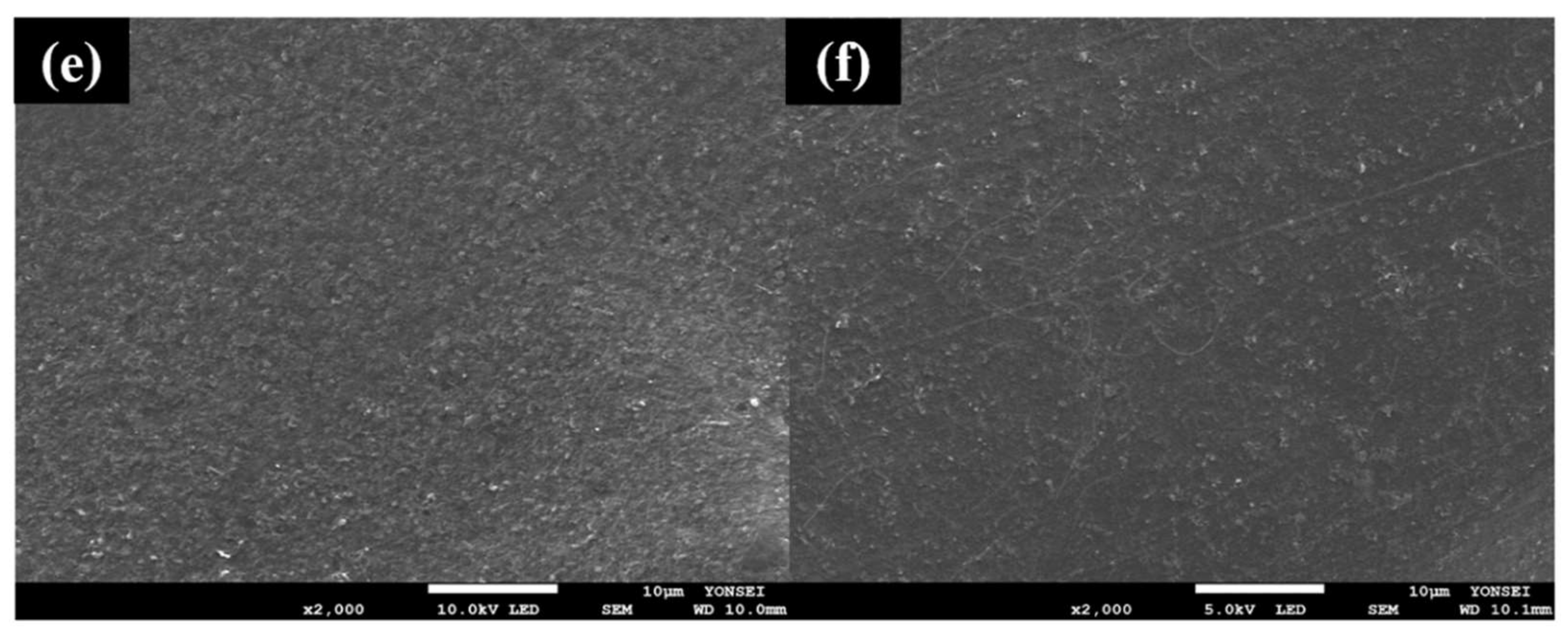 Polymers 13 03856 g003b 550
