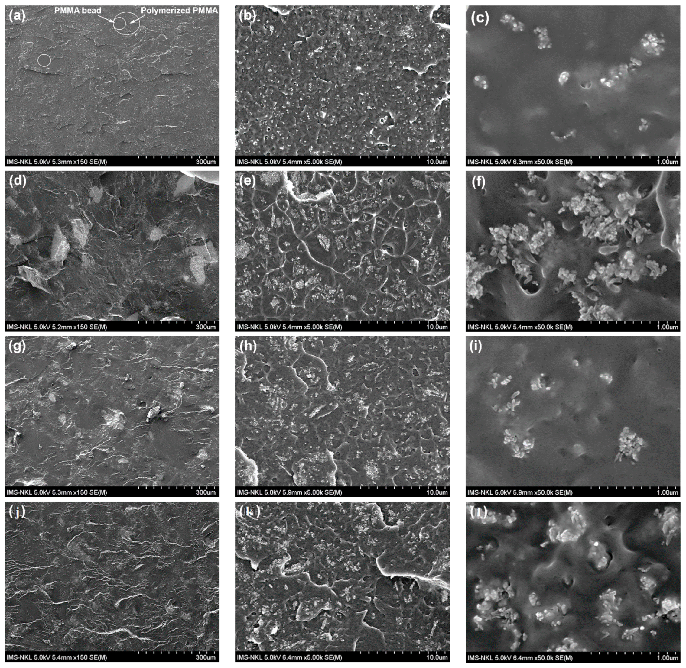 Polymers 13 03860 g007