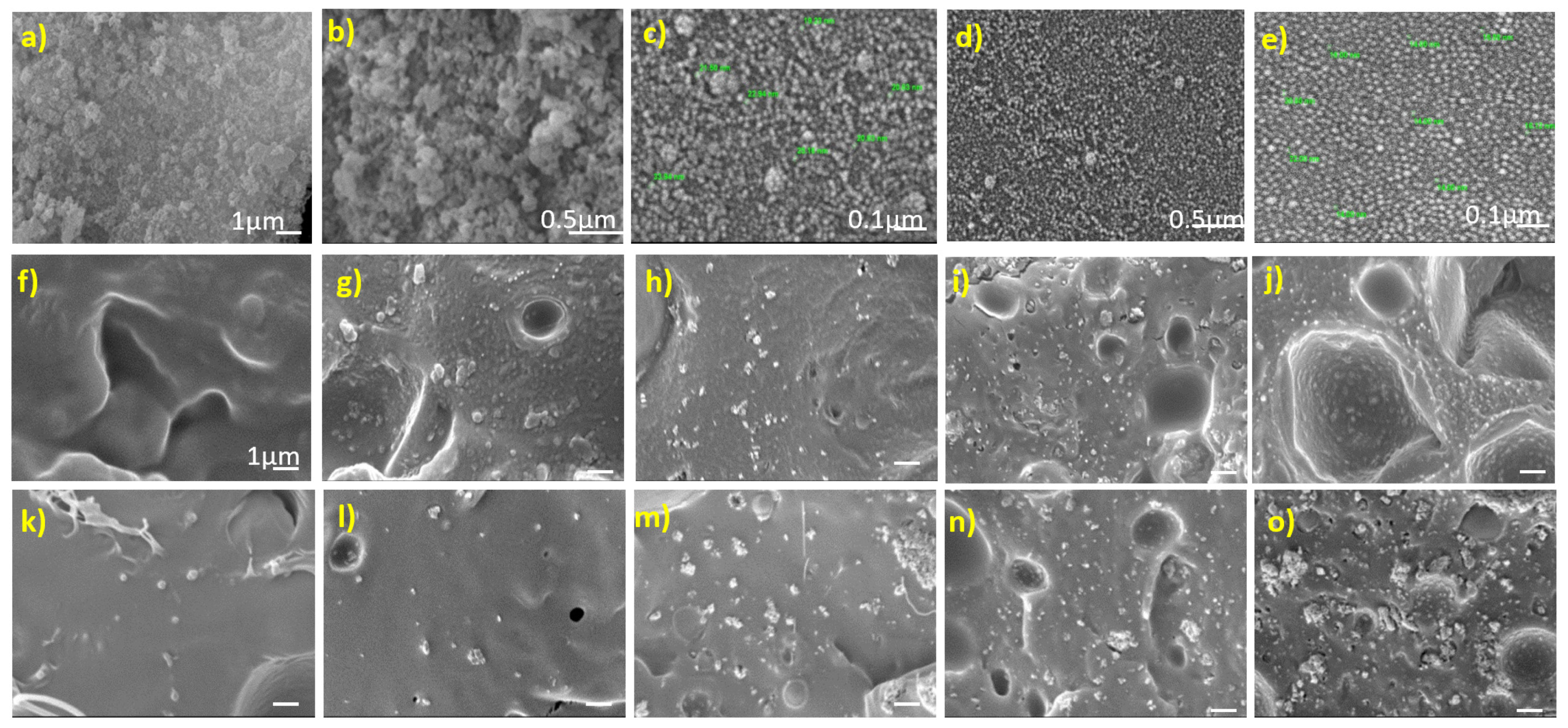 Polymers 13 03865 g001